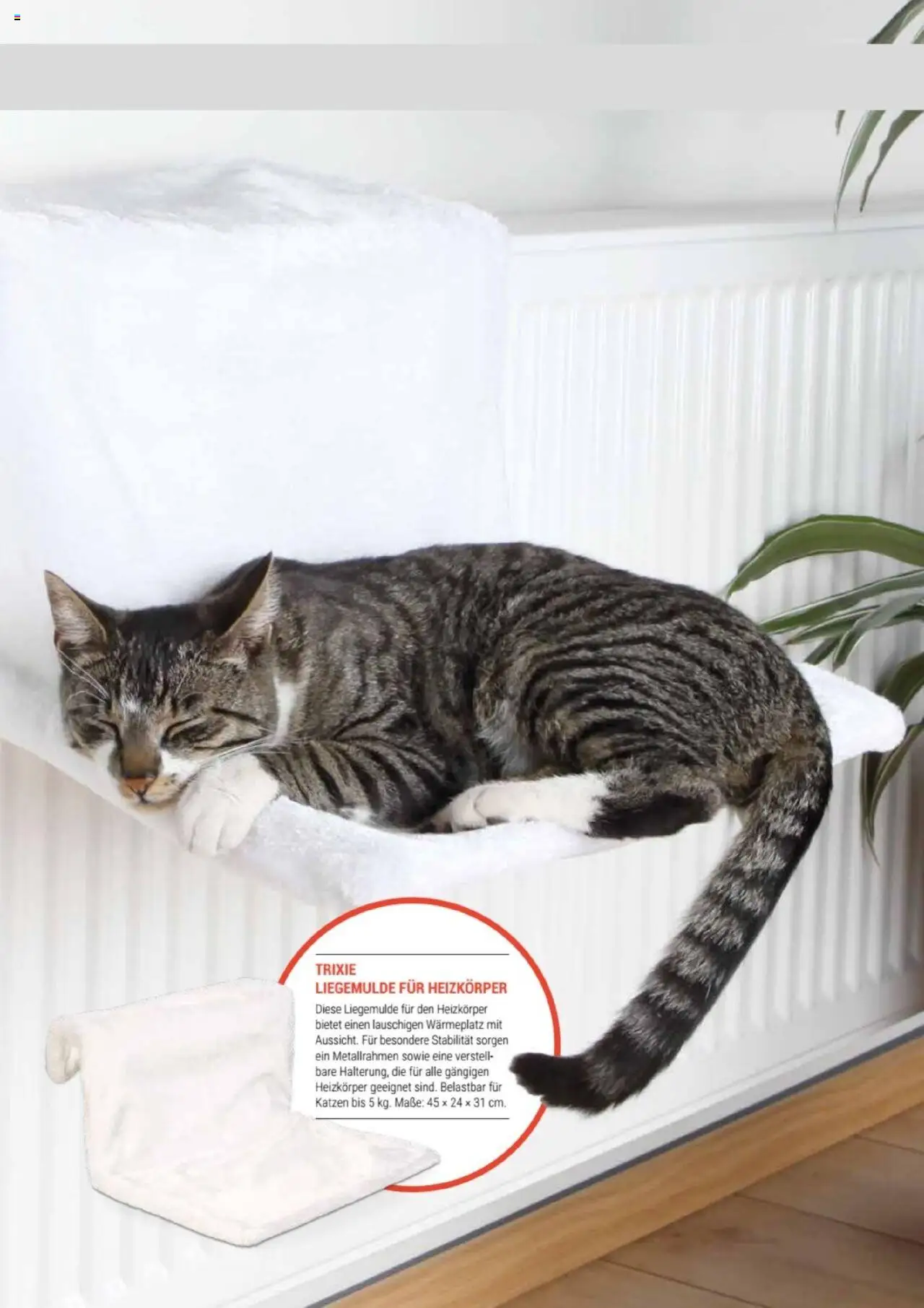 zookauf Themenkatalog Katze - Seite 47 - gültig ab 01.10.2025