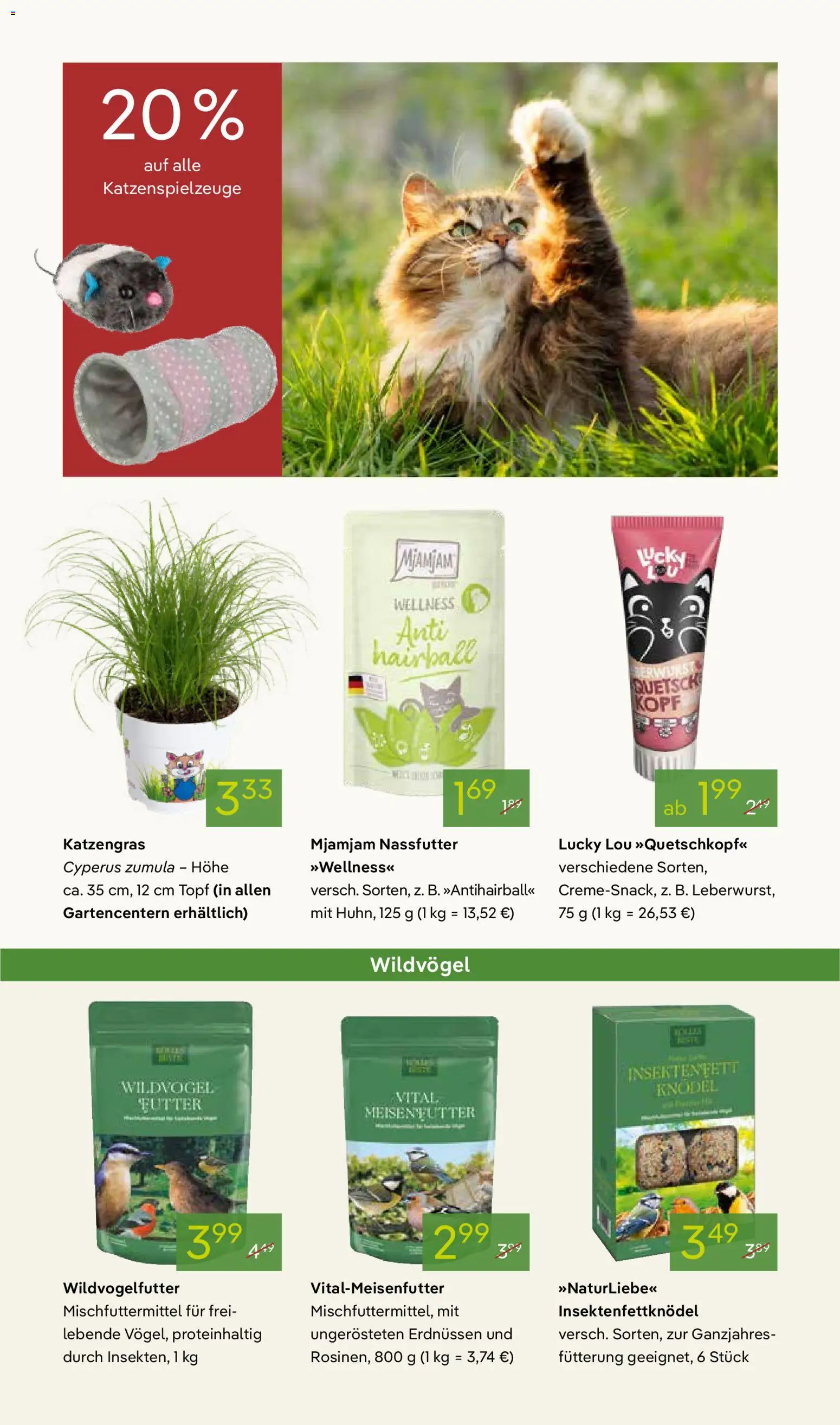 Pflanzen-Kölle Prospekt 	 - Seite 15 - gültig ab 02.03.2026