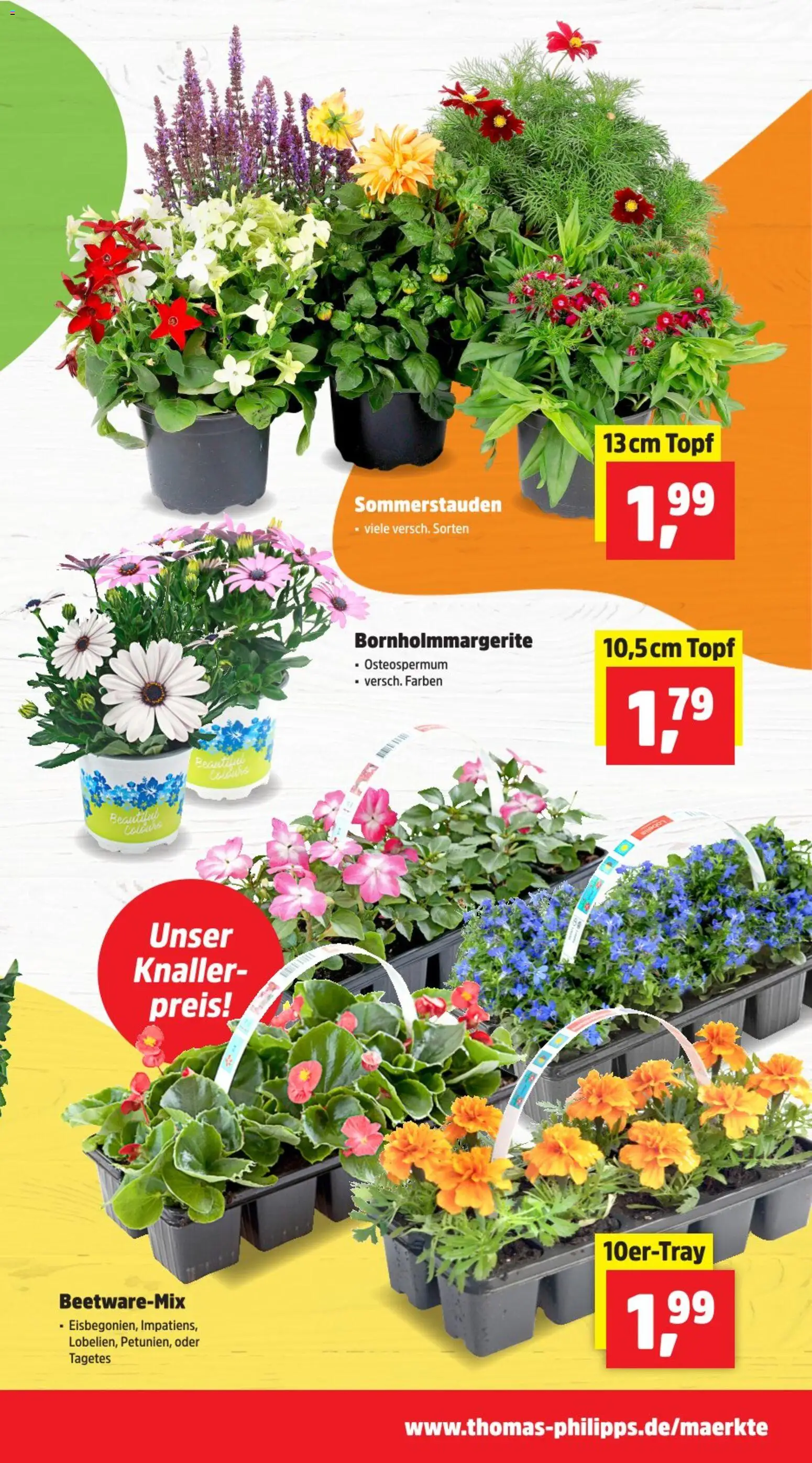 Thomas Philipps Prospekt - Seite 3 - gültig ab 20.04.2026