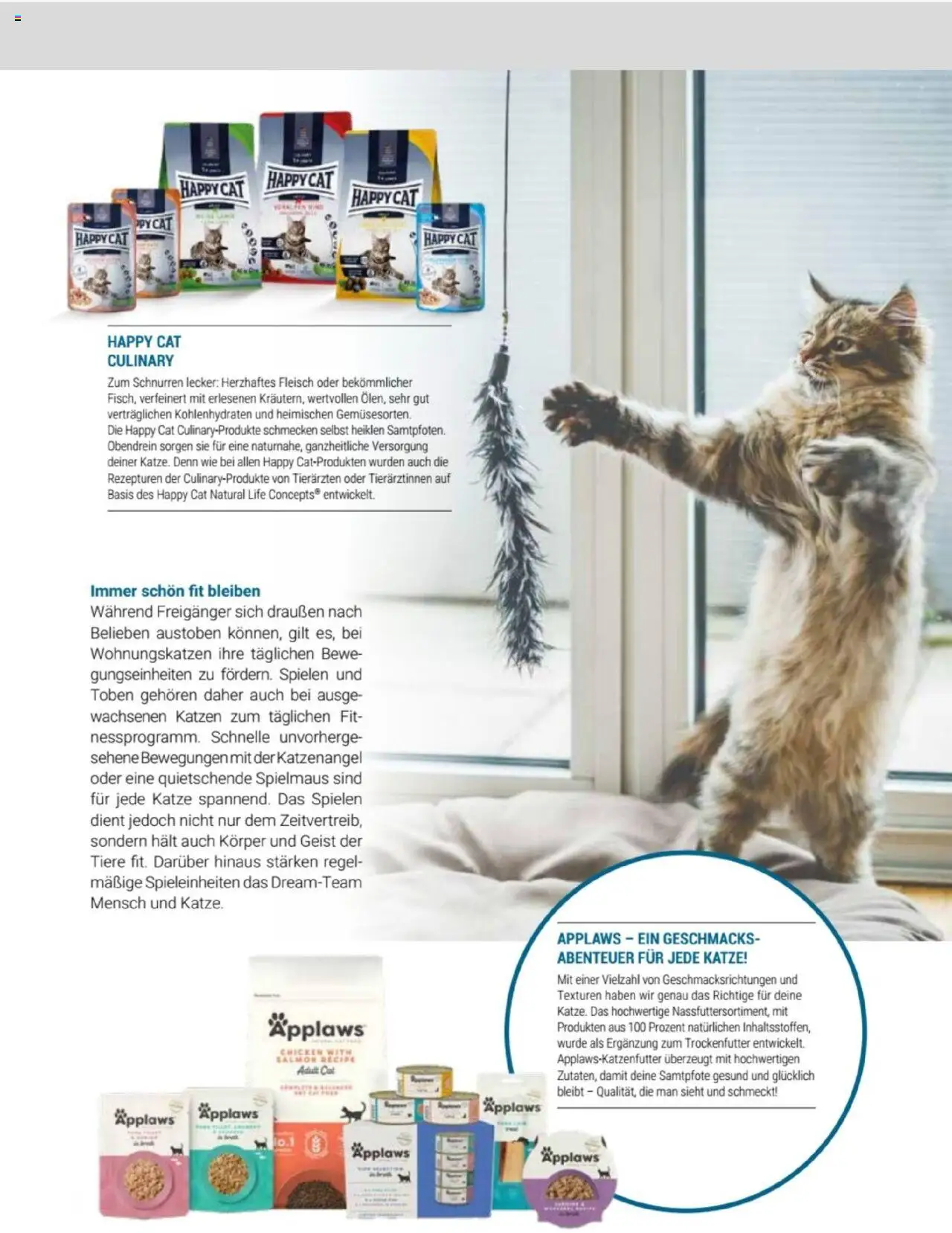 zookauf Themenkatalog Katze - Seite 9 - gültig ab 01.10.2025