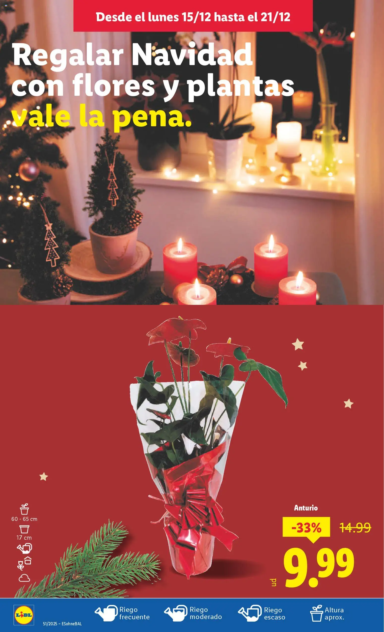 Lidl folleto - Página de 46 - Válido desde 15/12/2025