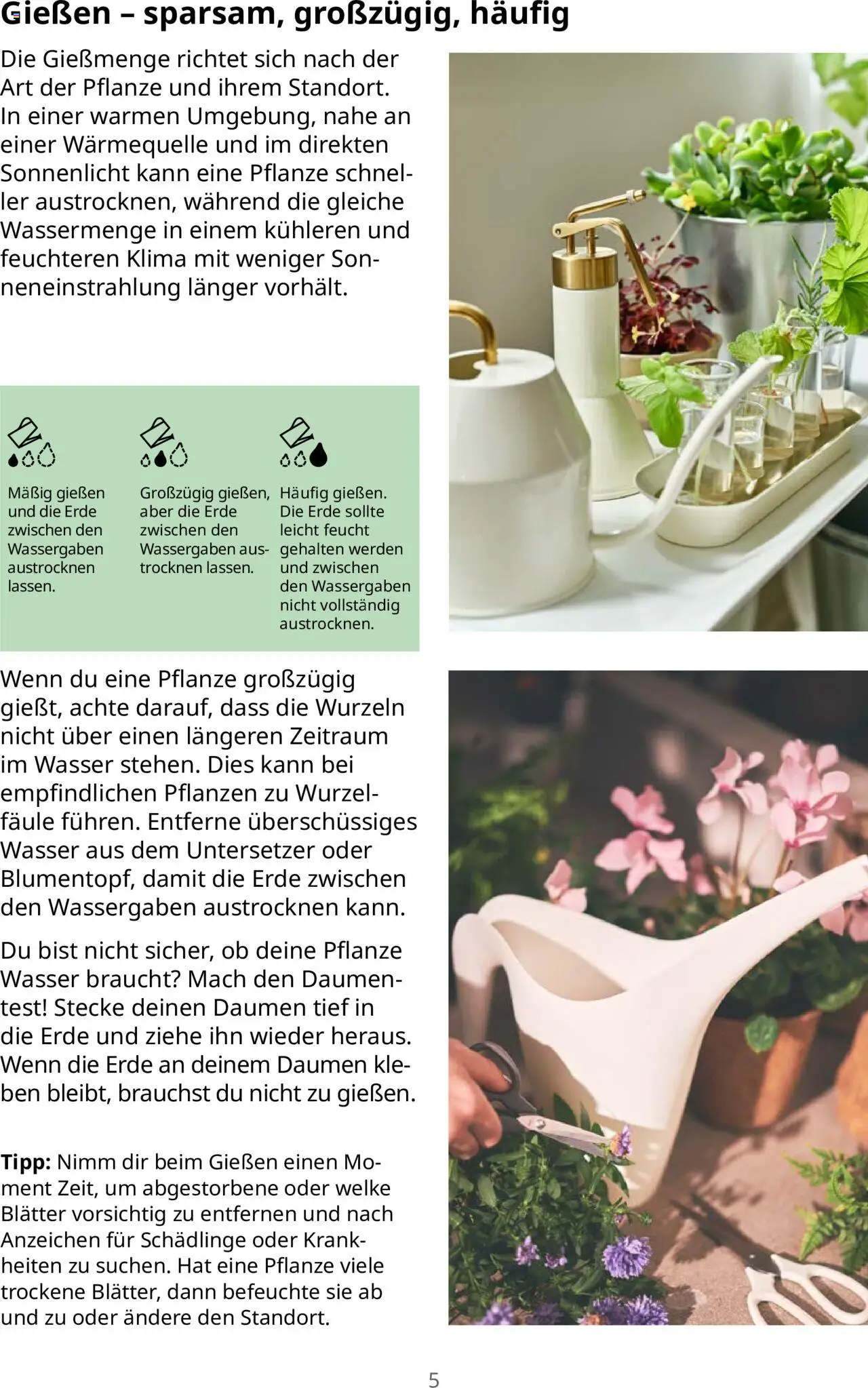 Ikea Pflanzen Broschüre - Seite 5 - gültig ab 30.09.2025