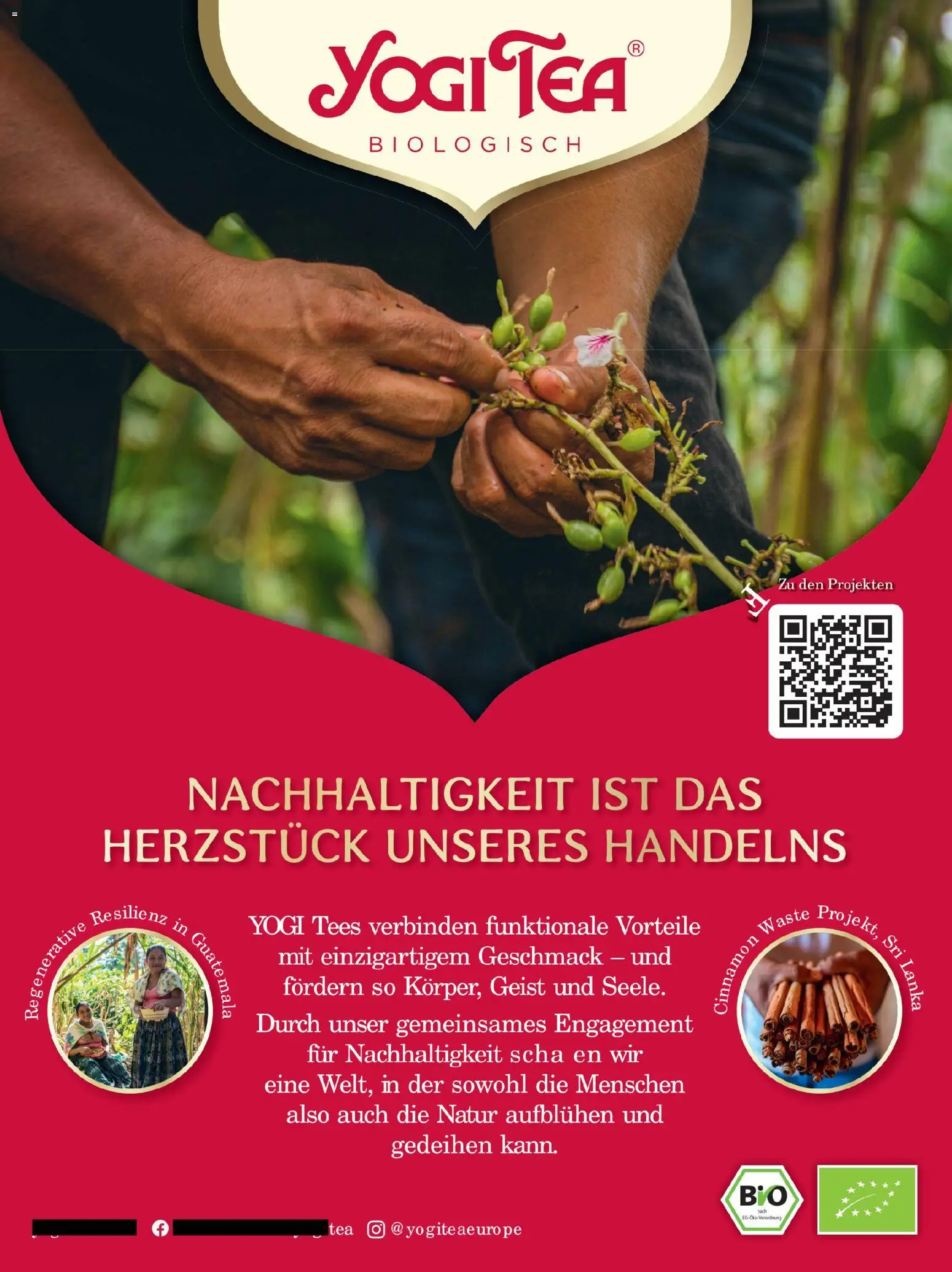 Budni Perle Magazin 06/25 - Seite 17 - gültig ab 01.11.2025