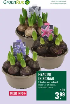 GroenRijk - Folder geldig vanaf 17-12-2025