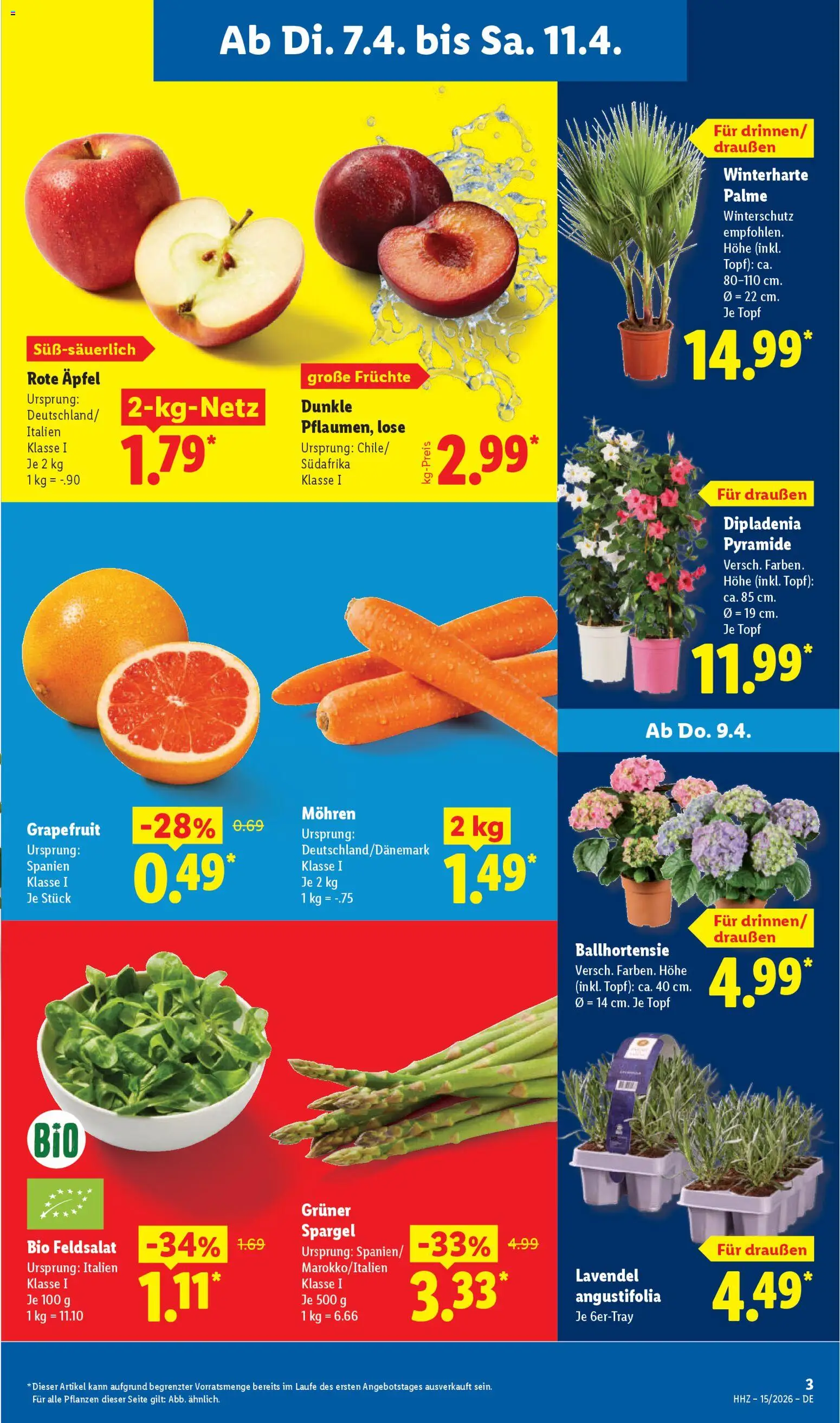 Lidl Prospekt - Seite 5 - gültig ab 07.04.2026