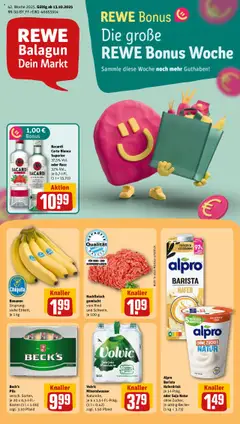 Rewe DE - DE Folder geldig vanaf 13-10-2025