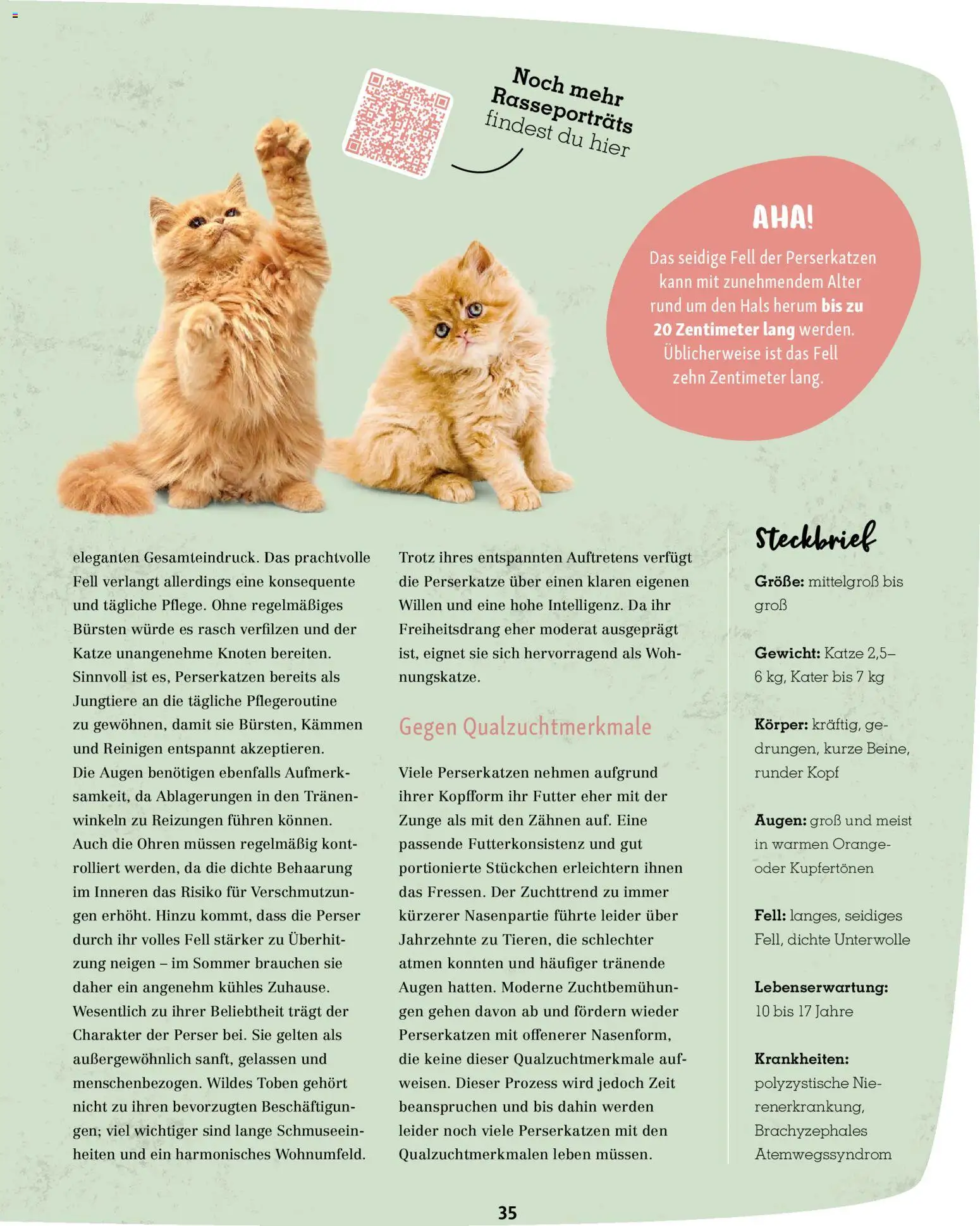 Fressnapf Friends Magazin - Seite 35 - gültig ab 02.03.2026