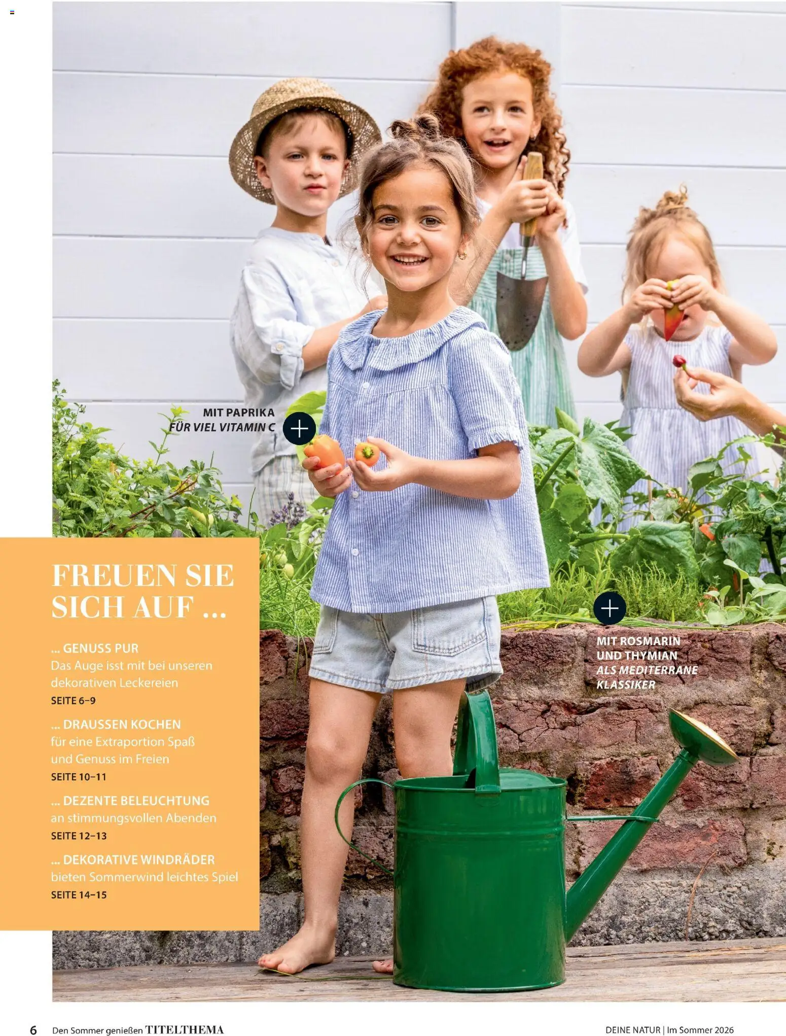 Dehner Prospekt 	 - Seite 6 - gültig ab 17.04.2026