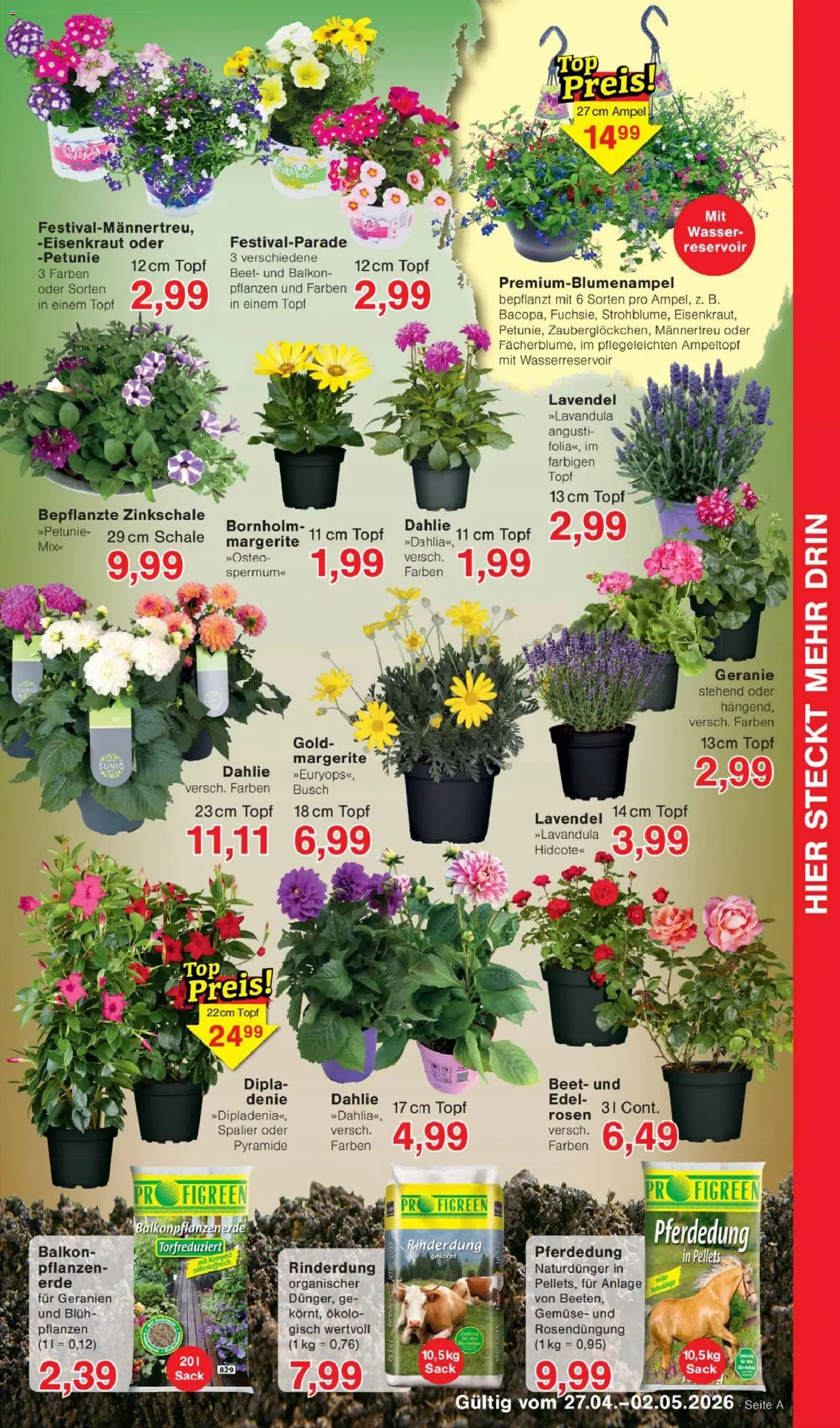 Jawoll Prospekt - Seite 7 - gültig ab 27.04.2026