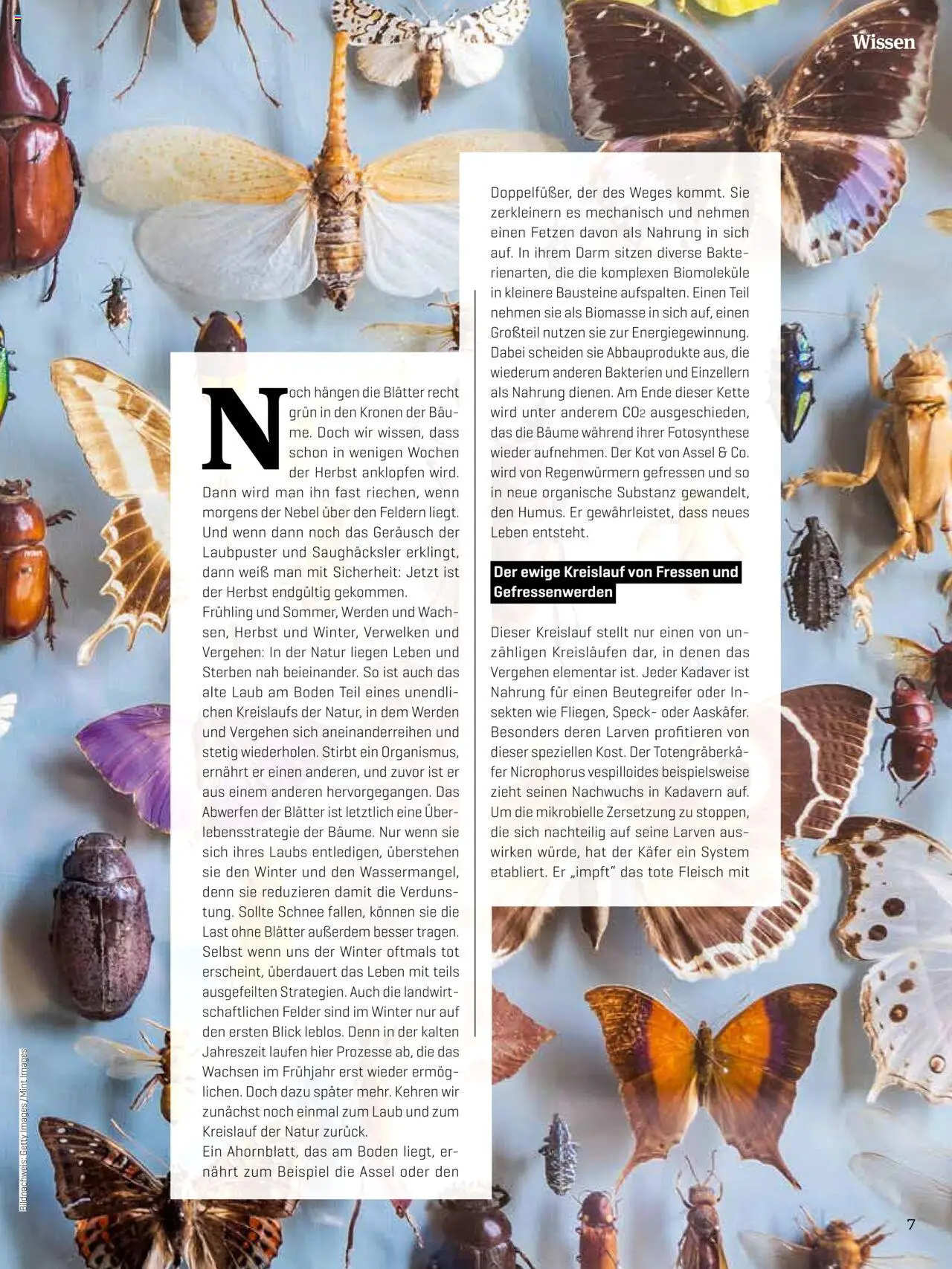 Denns BioMarkt KREO Magazin - Seite 7- gültig ab 14.07.2025