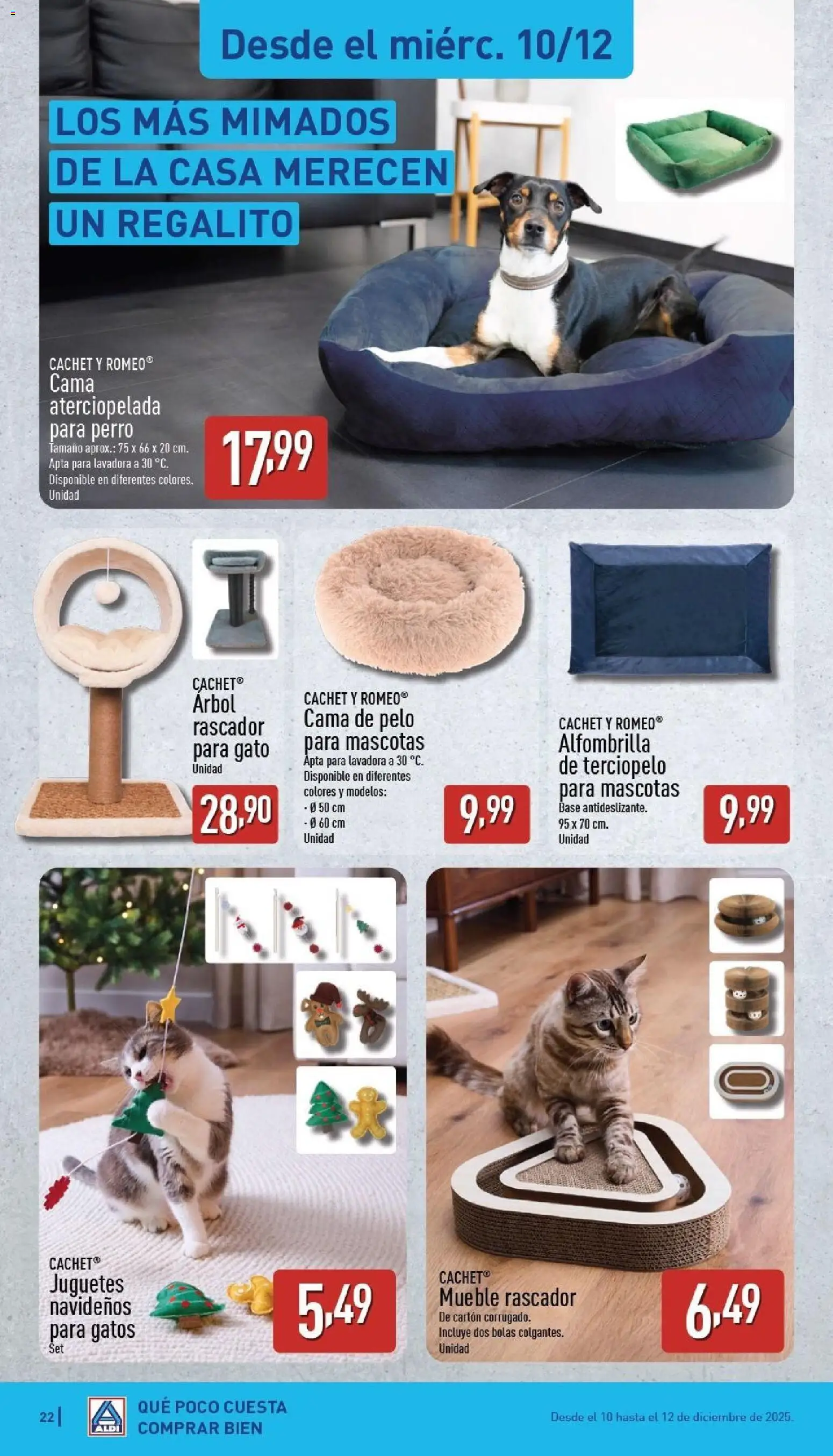 Aldi folleto Canarias - Página de 22 - Válido desde 08/12/2025