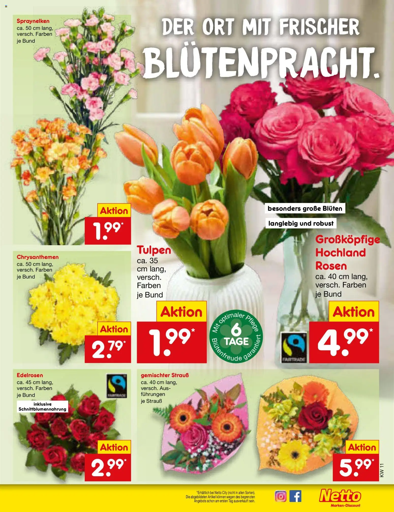 Netto Marken-Discount Prospekt 	 - Seite 53 - gültig ab 09.03.2026
