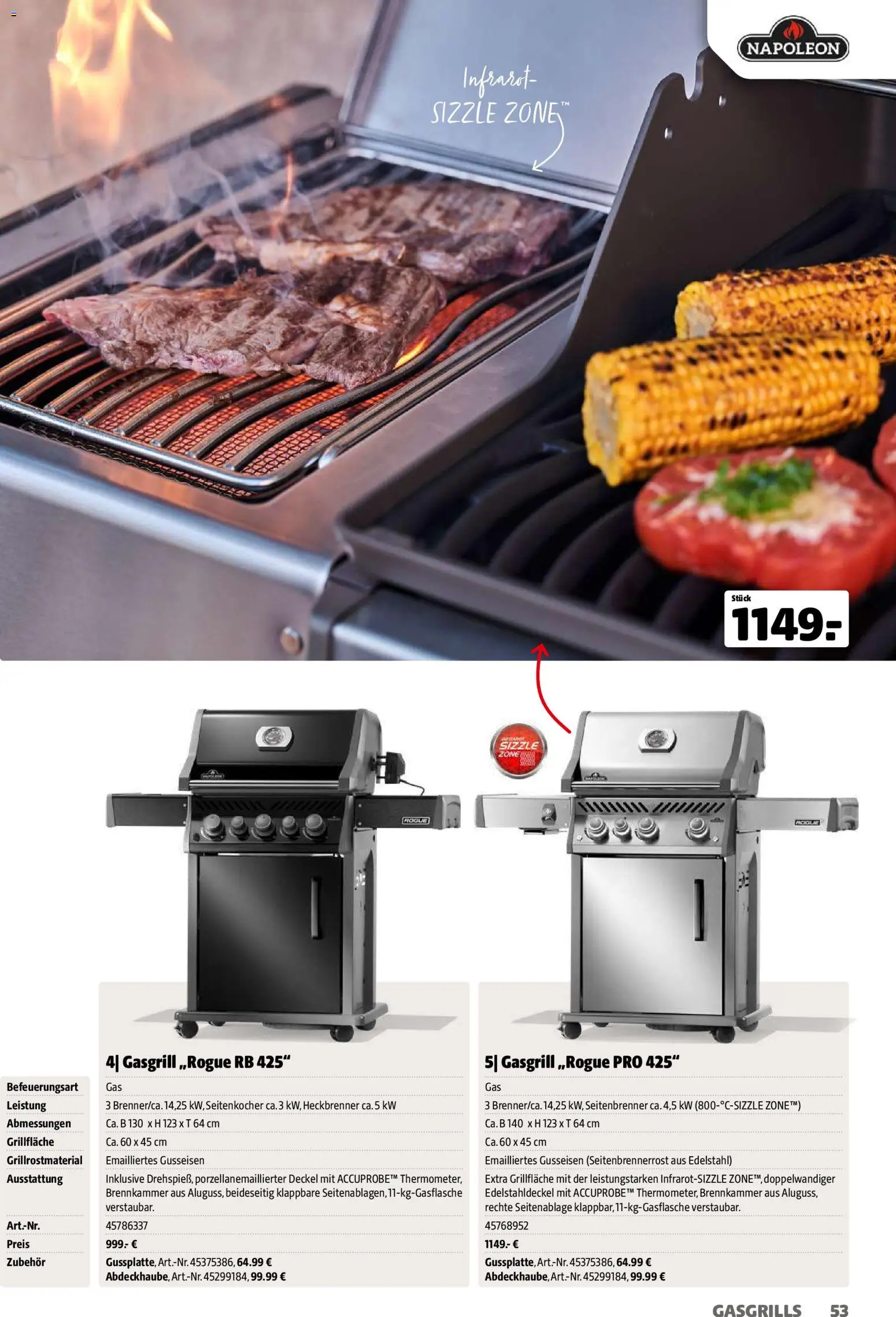 Hagebau Gartenjahr - page 53- valid from 13.03.2026