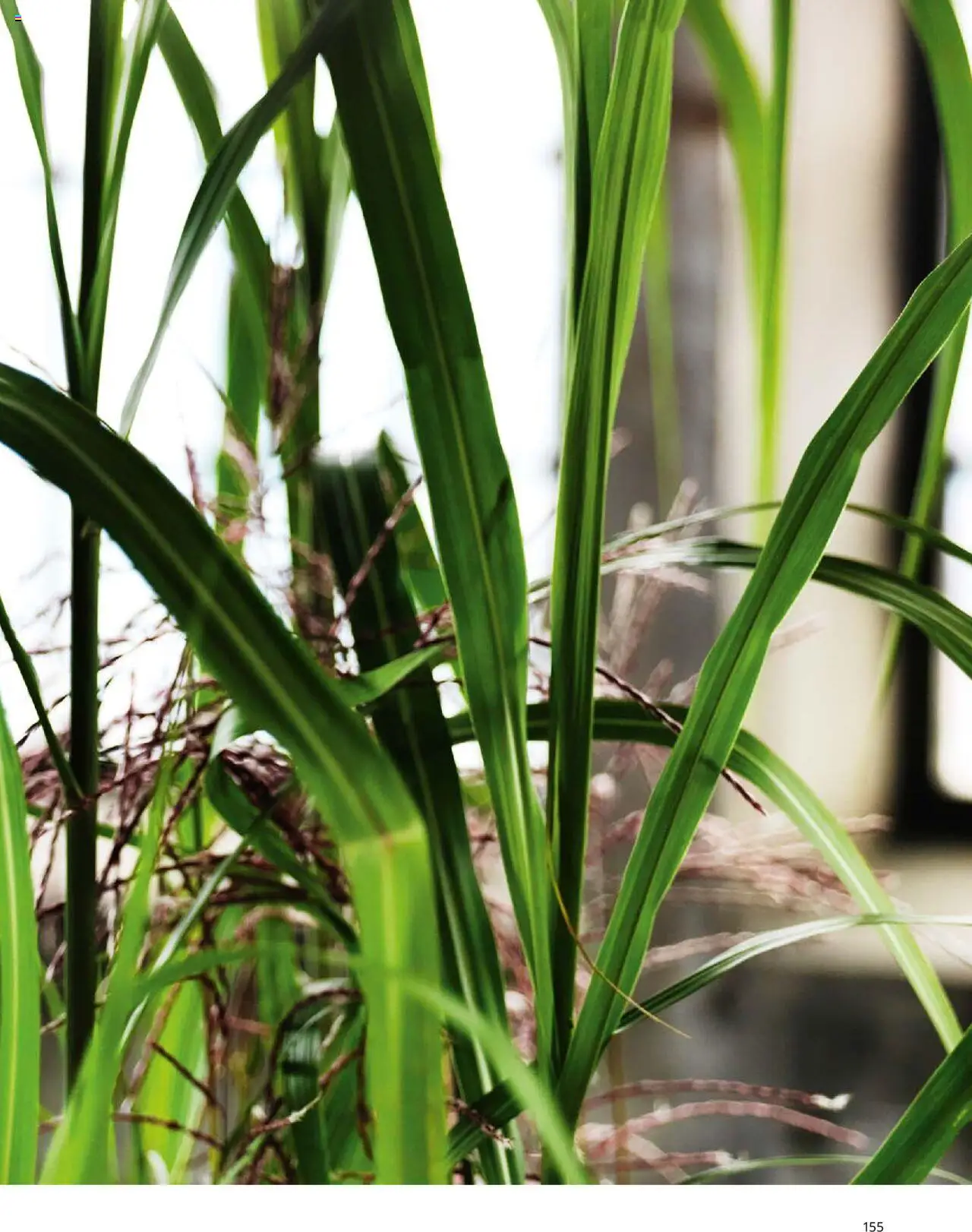 Ikea Büroeinrichtung - Seite 155 - gültig ab 30.09.2025