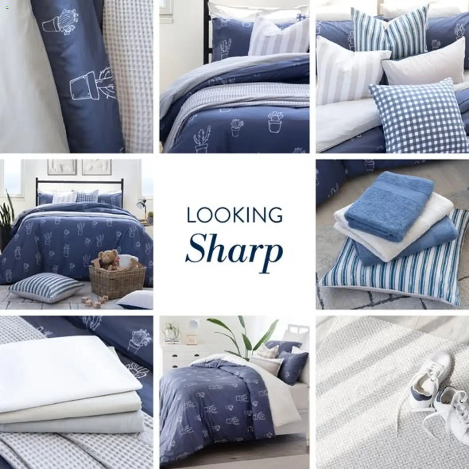 Volpes Looking Sharp - page 1- valid from 24/12/2025