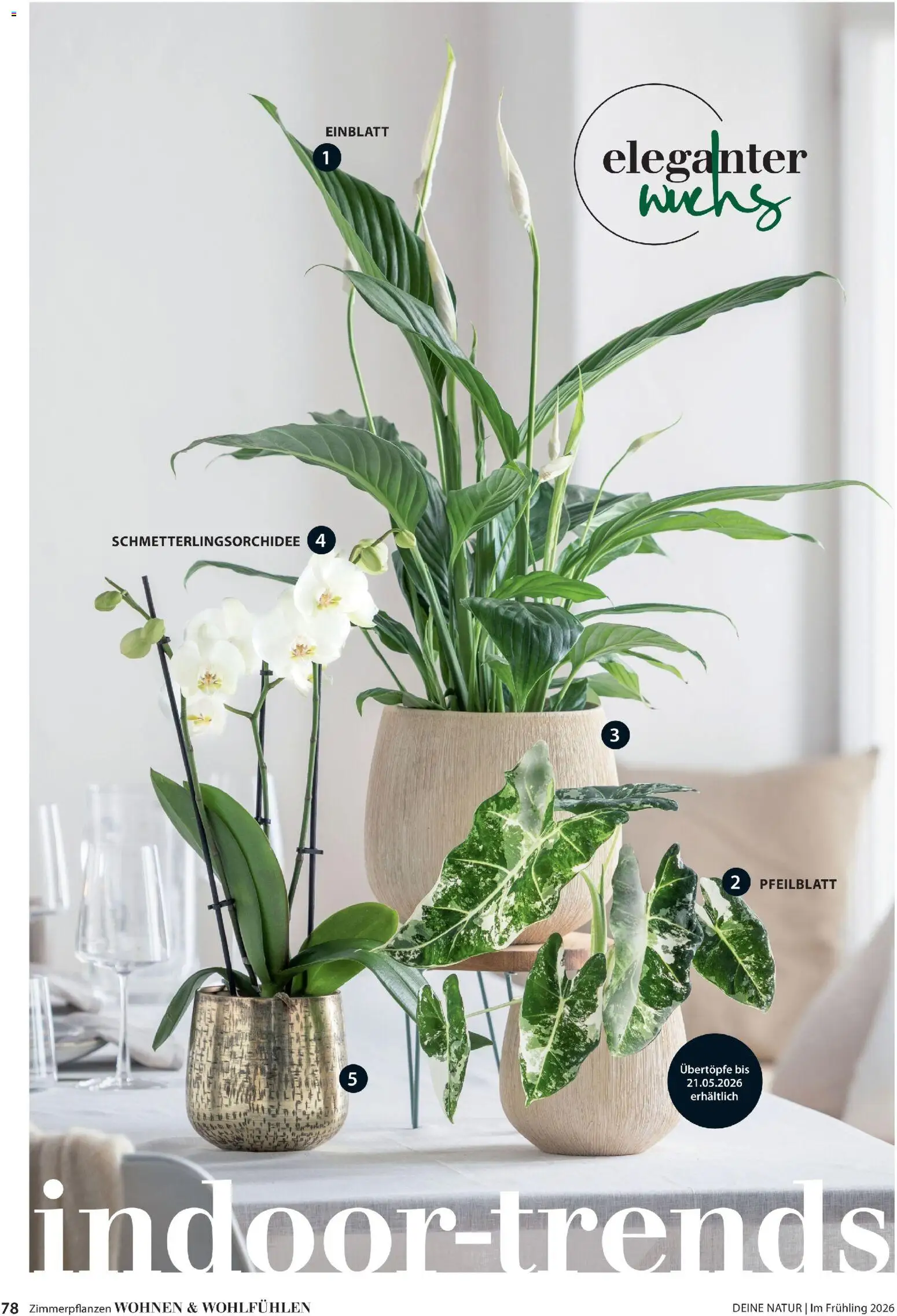 Dehner Prospekt 	 - Seite 78 - gültig ab 04.03.2026