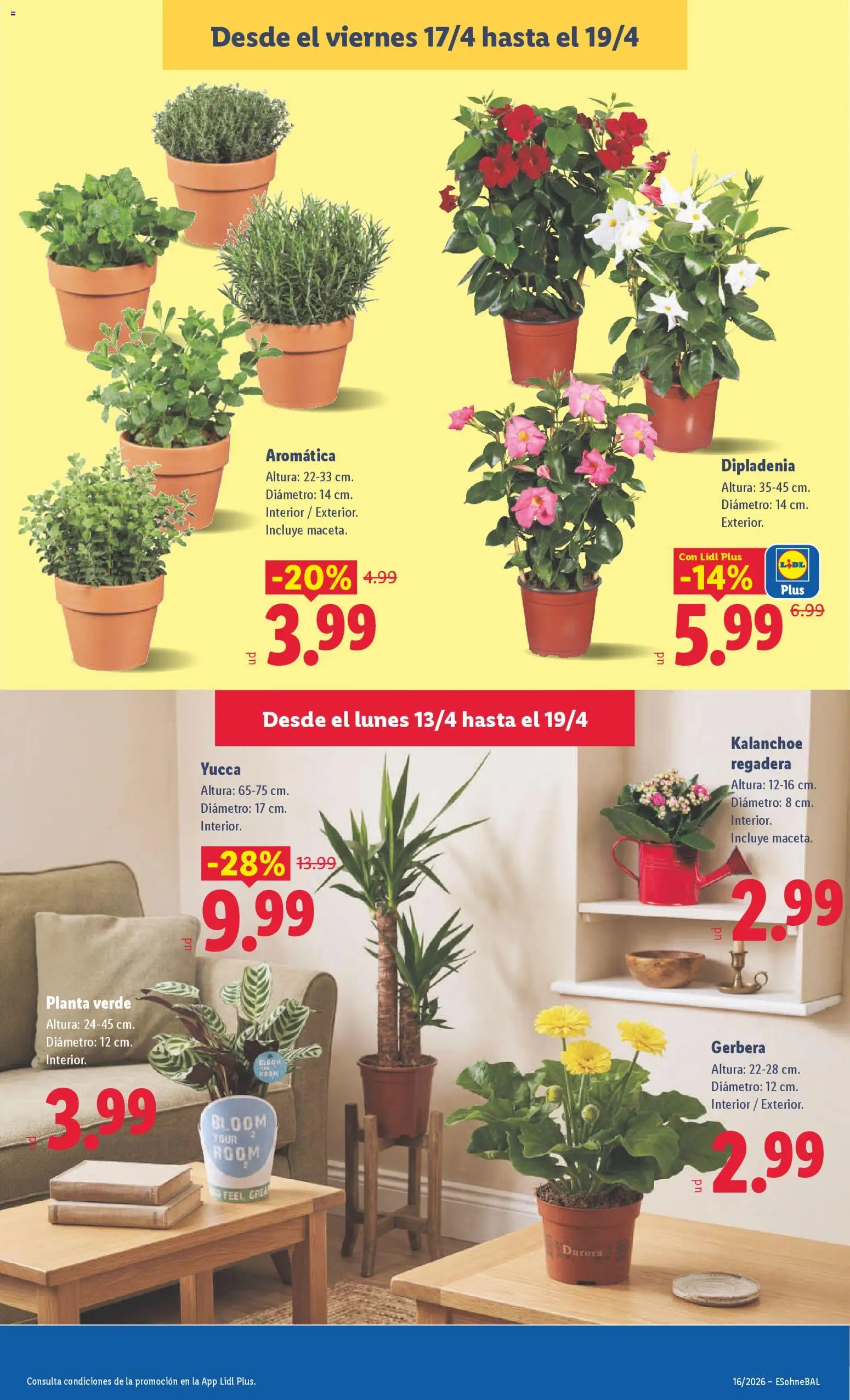 Lidl folleto - Página de 47 - Válido desde 13/04/2026