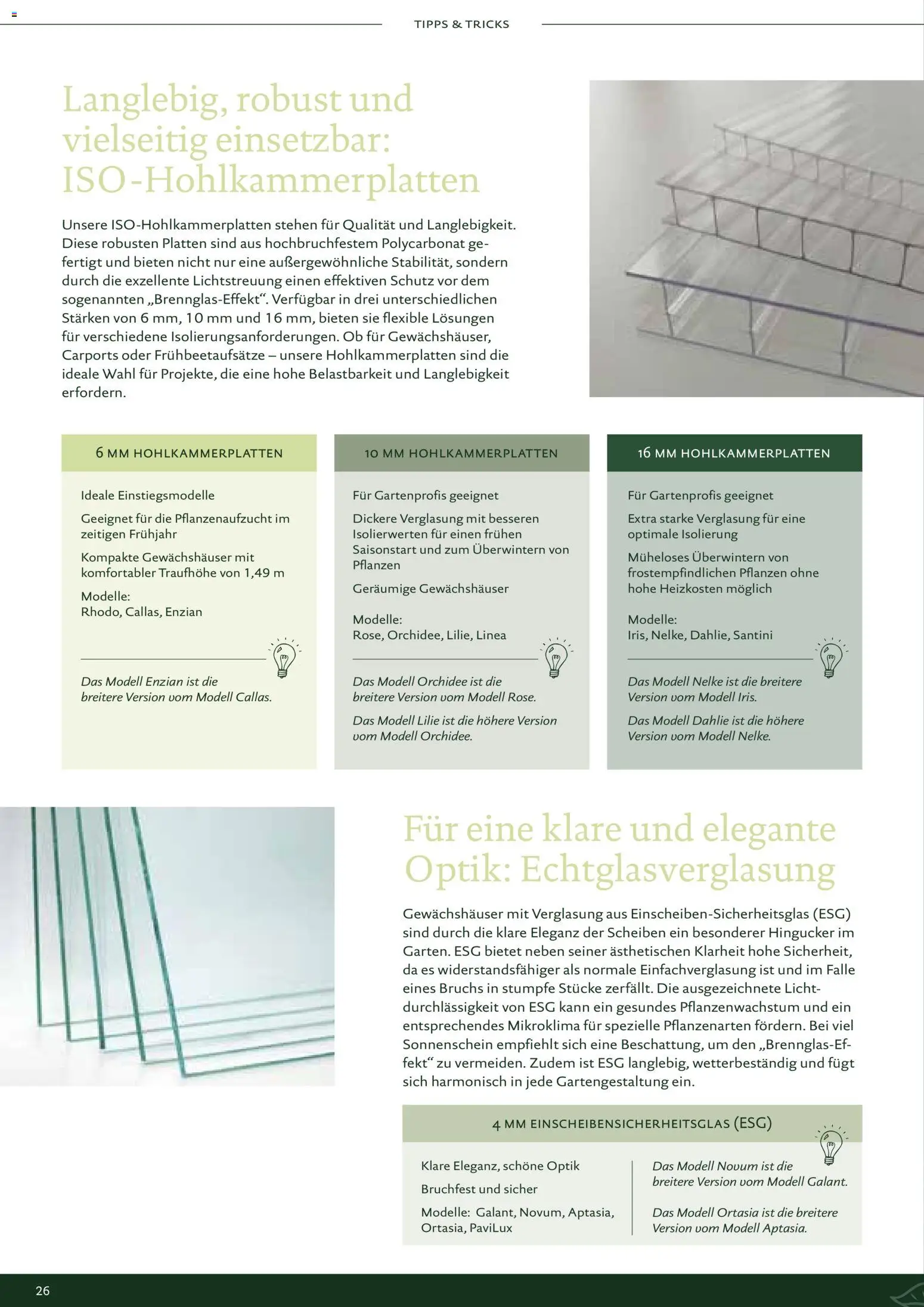 Dehner KGT – Kreative Gartentechnik - Seite 26 - gültig ab 01.01.2026