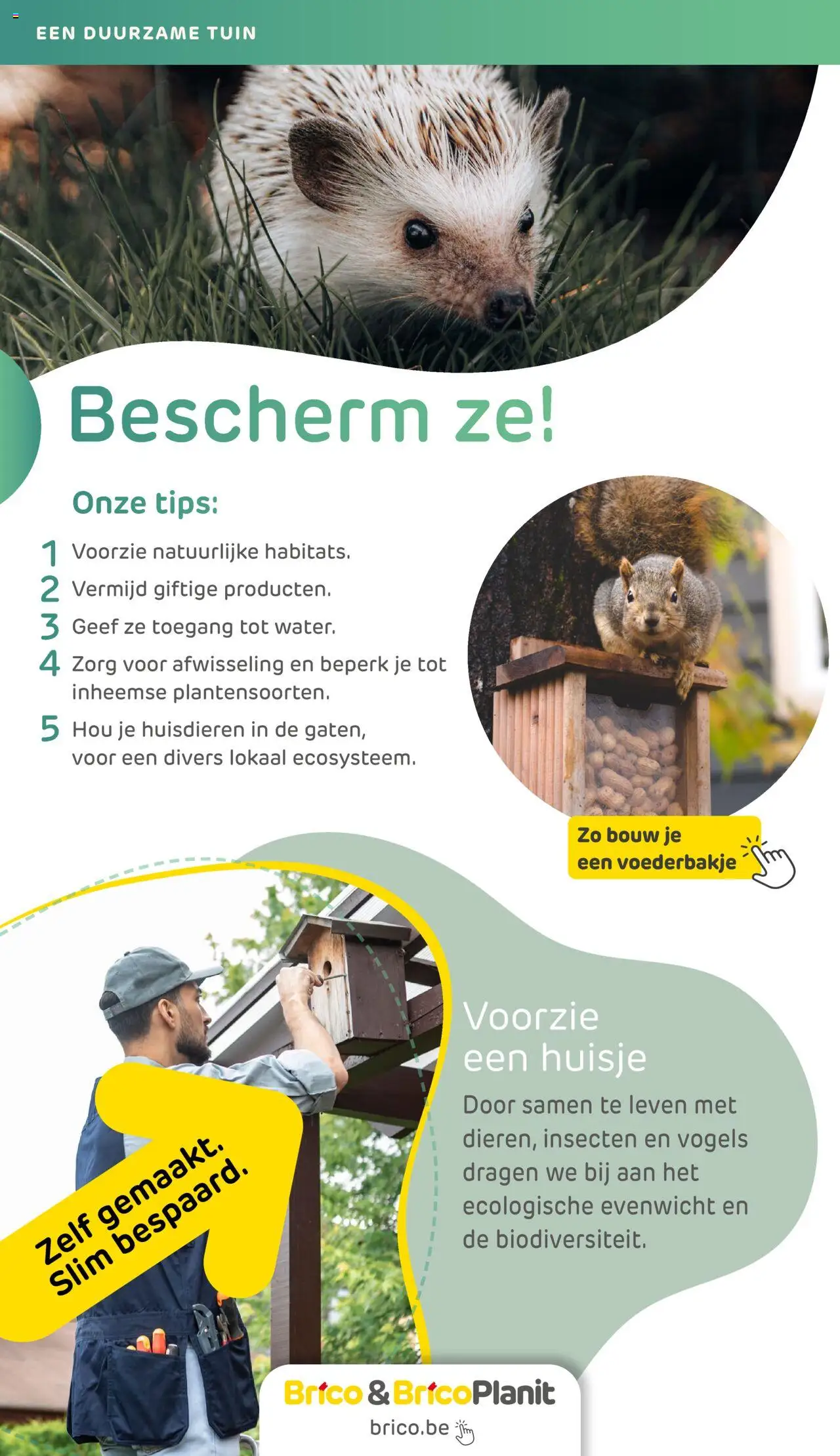 Brico Duurzaamheidsmagazine - pagina 63- geldig vanaf 20/02/2024
