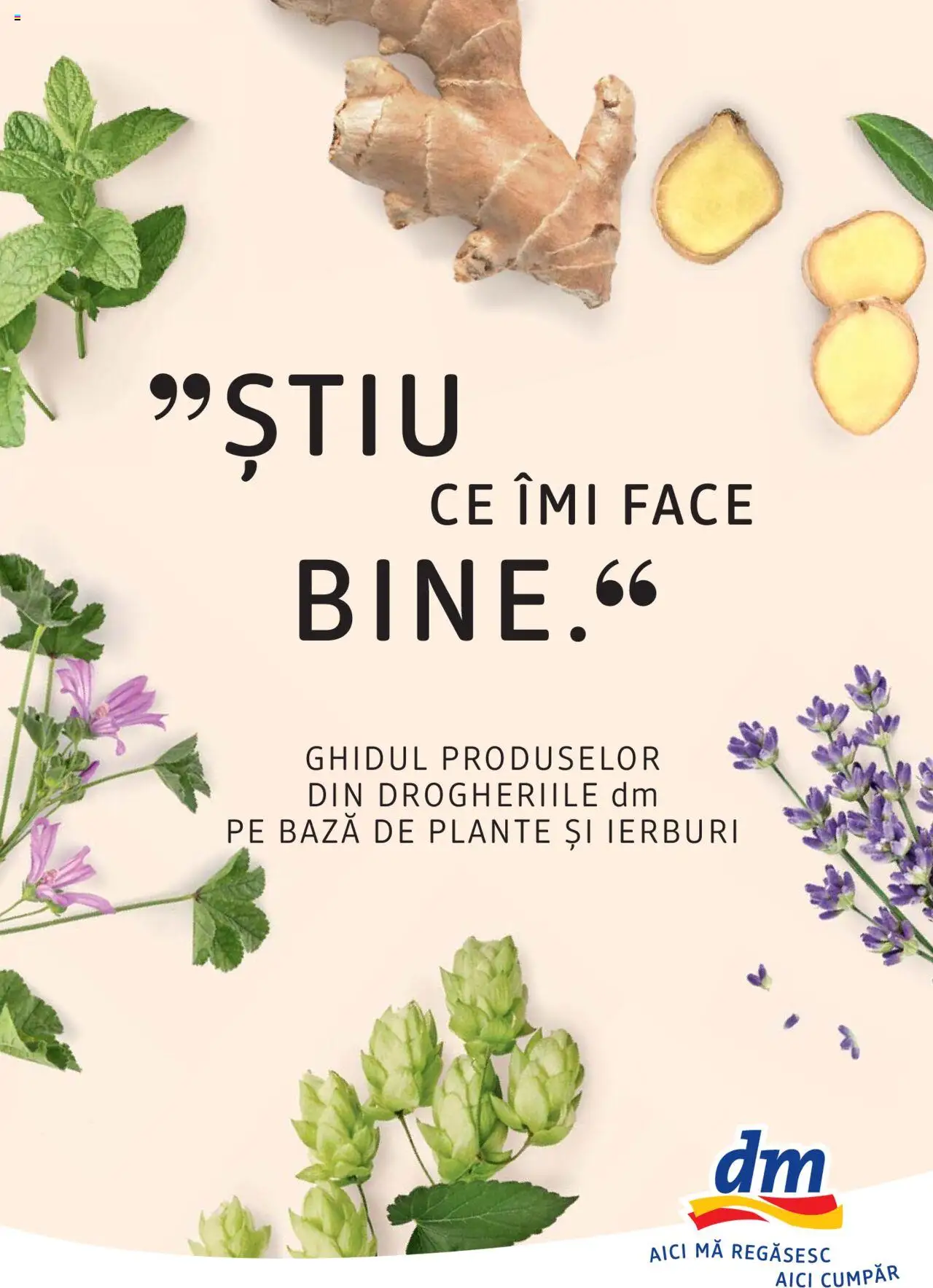 DM drogeriemarkt catalog - Broșura despre plante și ierburi - pagina 1- valabil de la 01.01.2022
