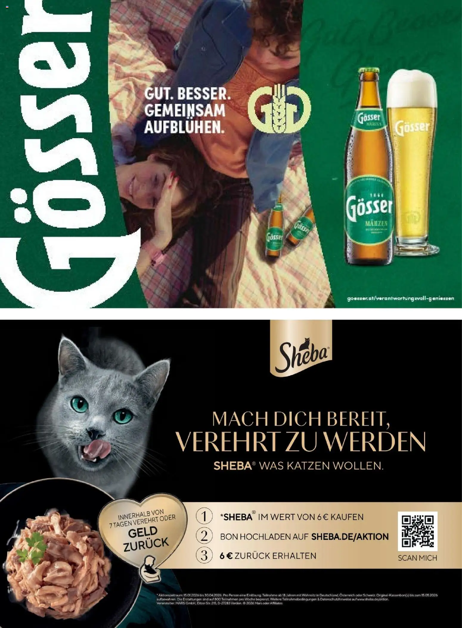 Penny Markt So Schmeckt's - Frühling 2026 - page 67- valid from 01.03.2026