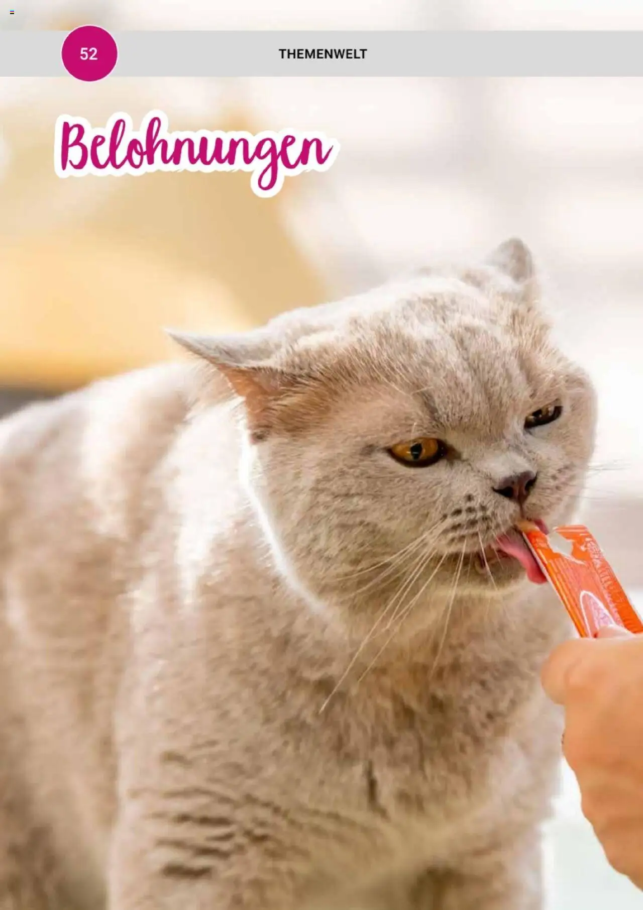 zookauf Themenkatalog Katze - Seite 52 - gültig ab 01.10.2025