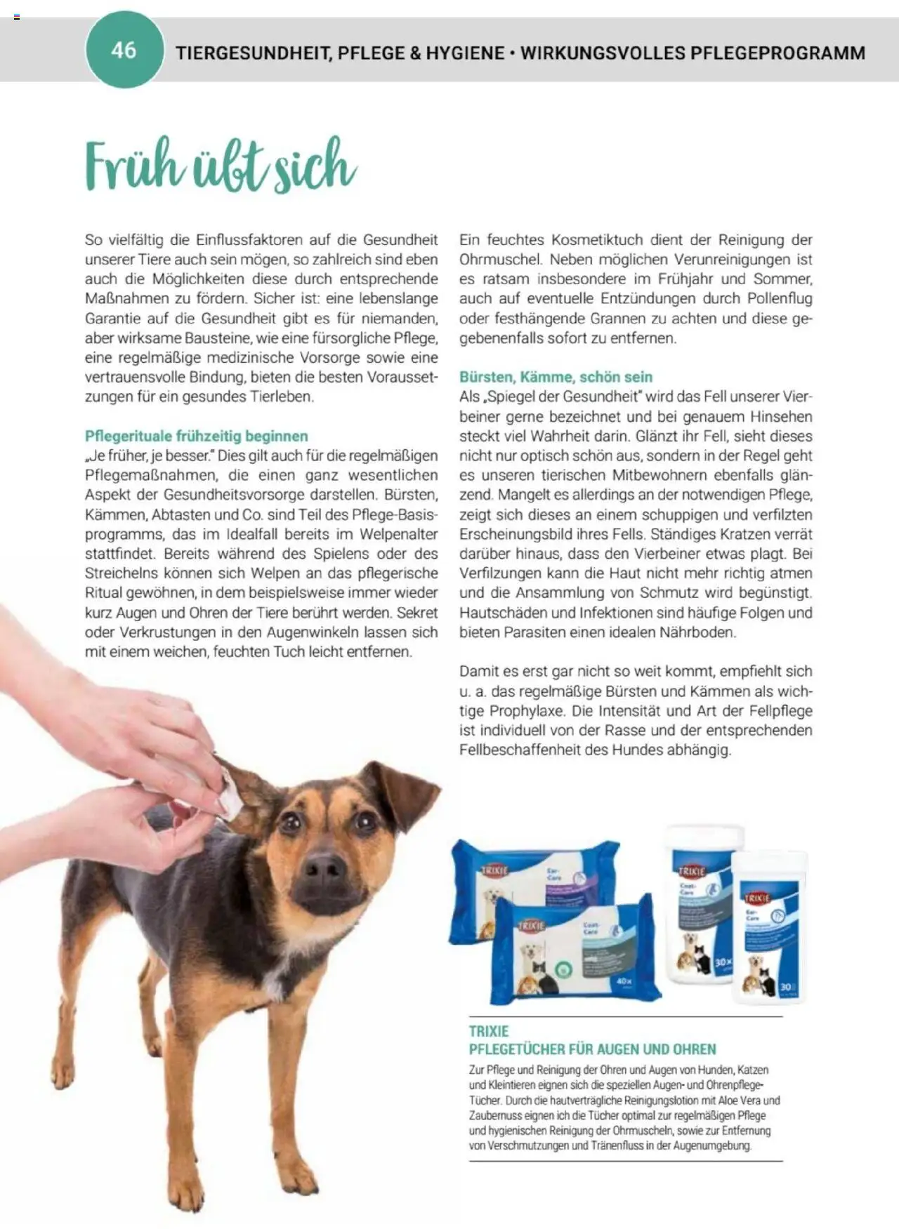 zookauf  Themenkatalog Hund - Seite 46 - gültig ab 20.05.2025