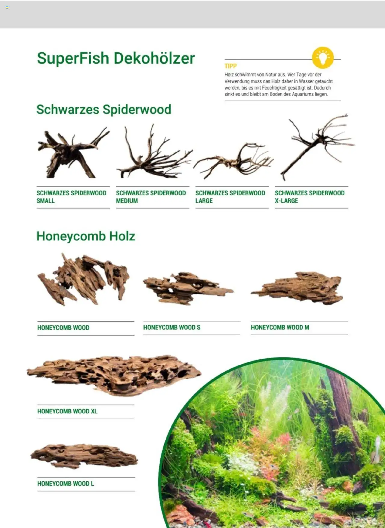 zookauf Themenkatalog Aquaristik - Seite 39 - gültig ab 01.10.2025