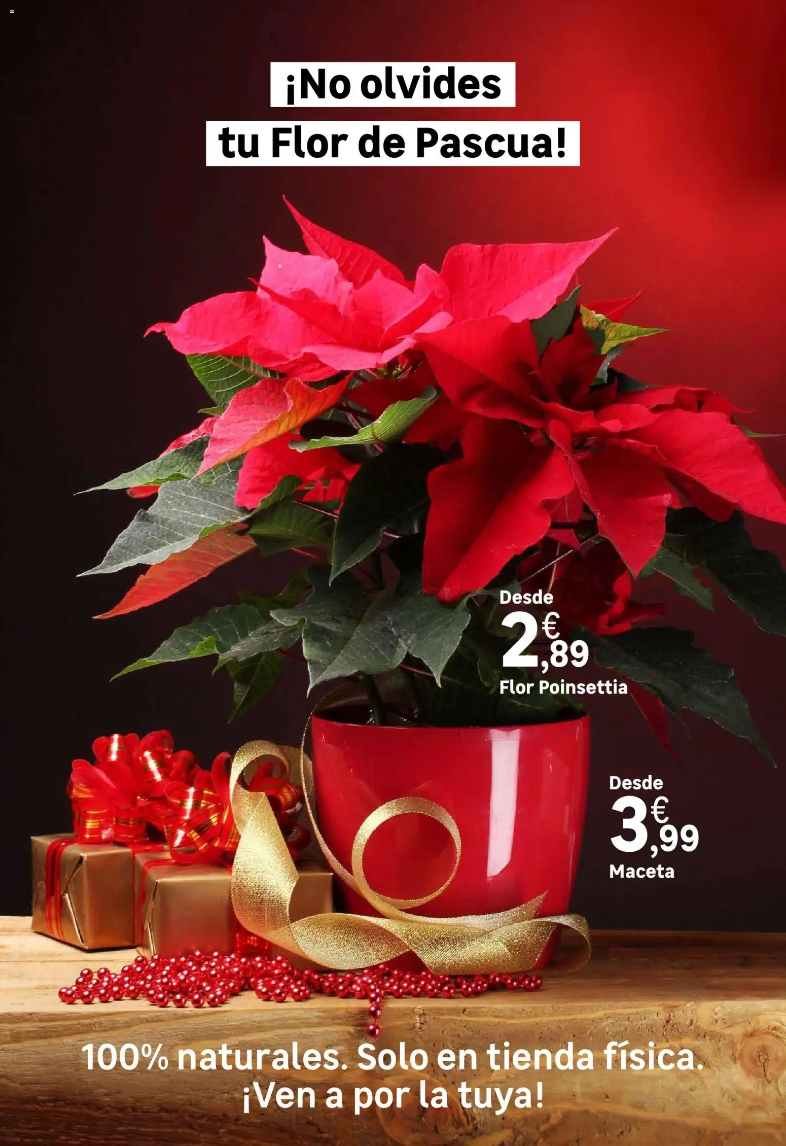 Leroy Merlin catálogo - Página de 74 - Válido desde 31/10/2025