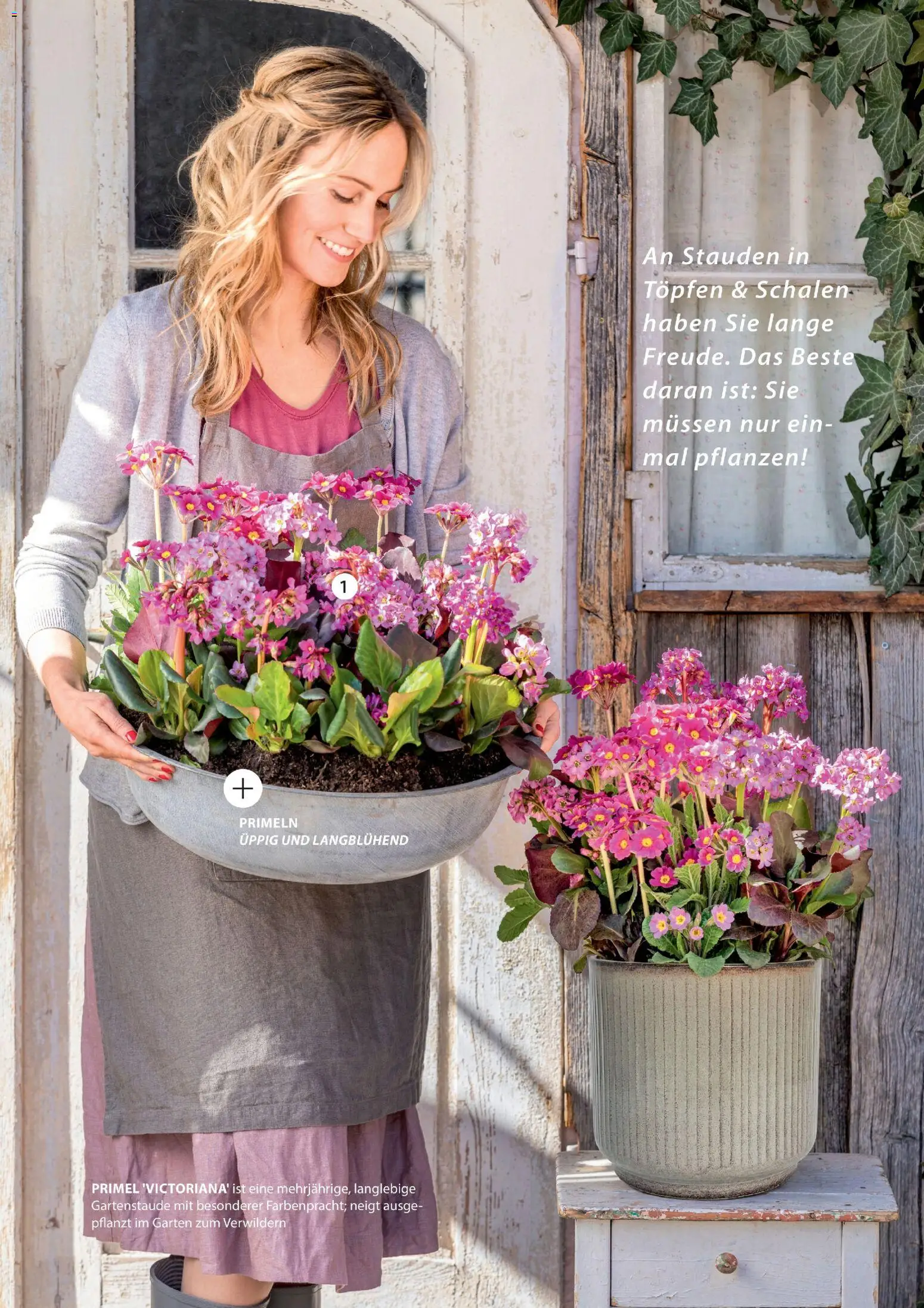 Dehner Prospekt 	 - Seite 44 - gültig ab 04.03.2026