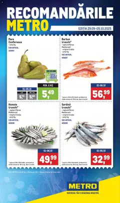 Catalog Metro valabil de la 29.09.2025