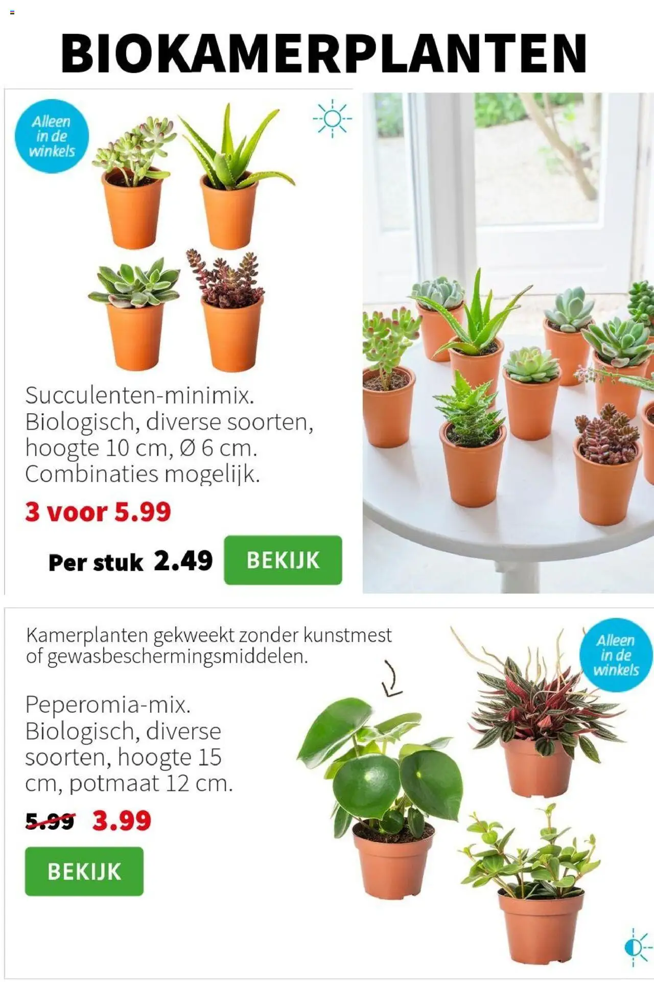 Intratuin - Folder - pagina 3- geldig vanaf 14-07-2025