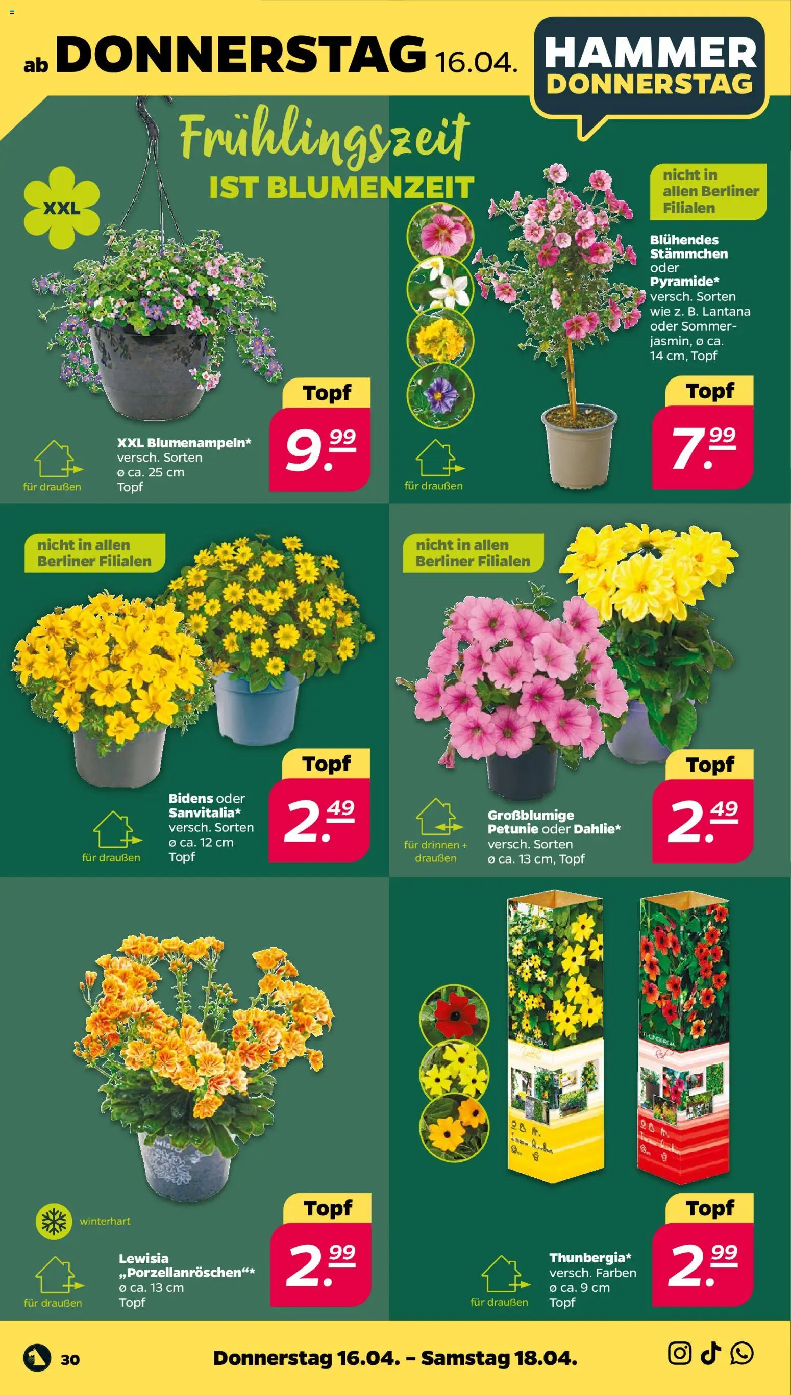 Netto Prospekt 	 - Seite 34 - gültig ab 13.04.2026