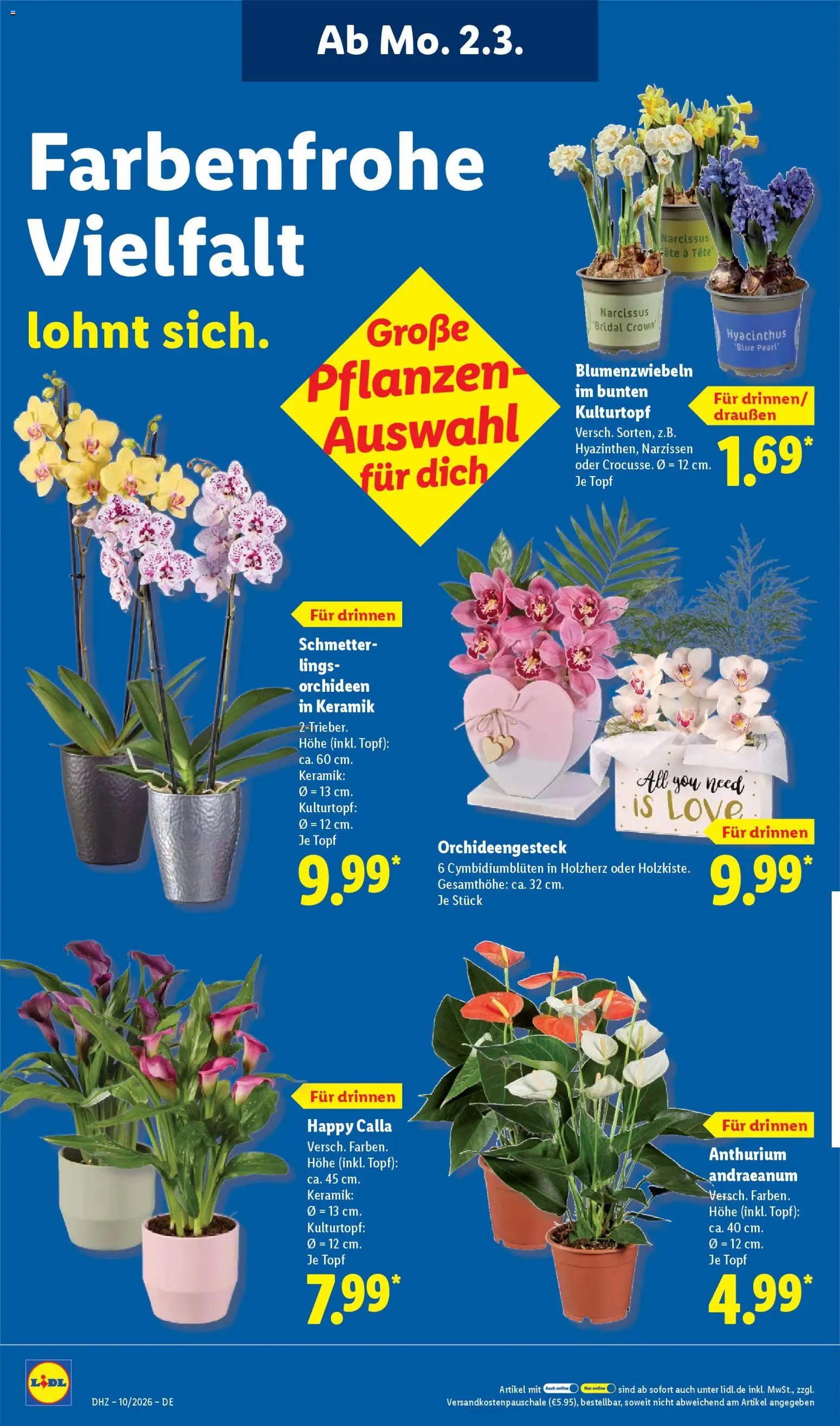 Lidl - Prospekt - Seite 20 - gültig ab 02.03.2026