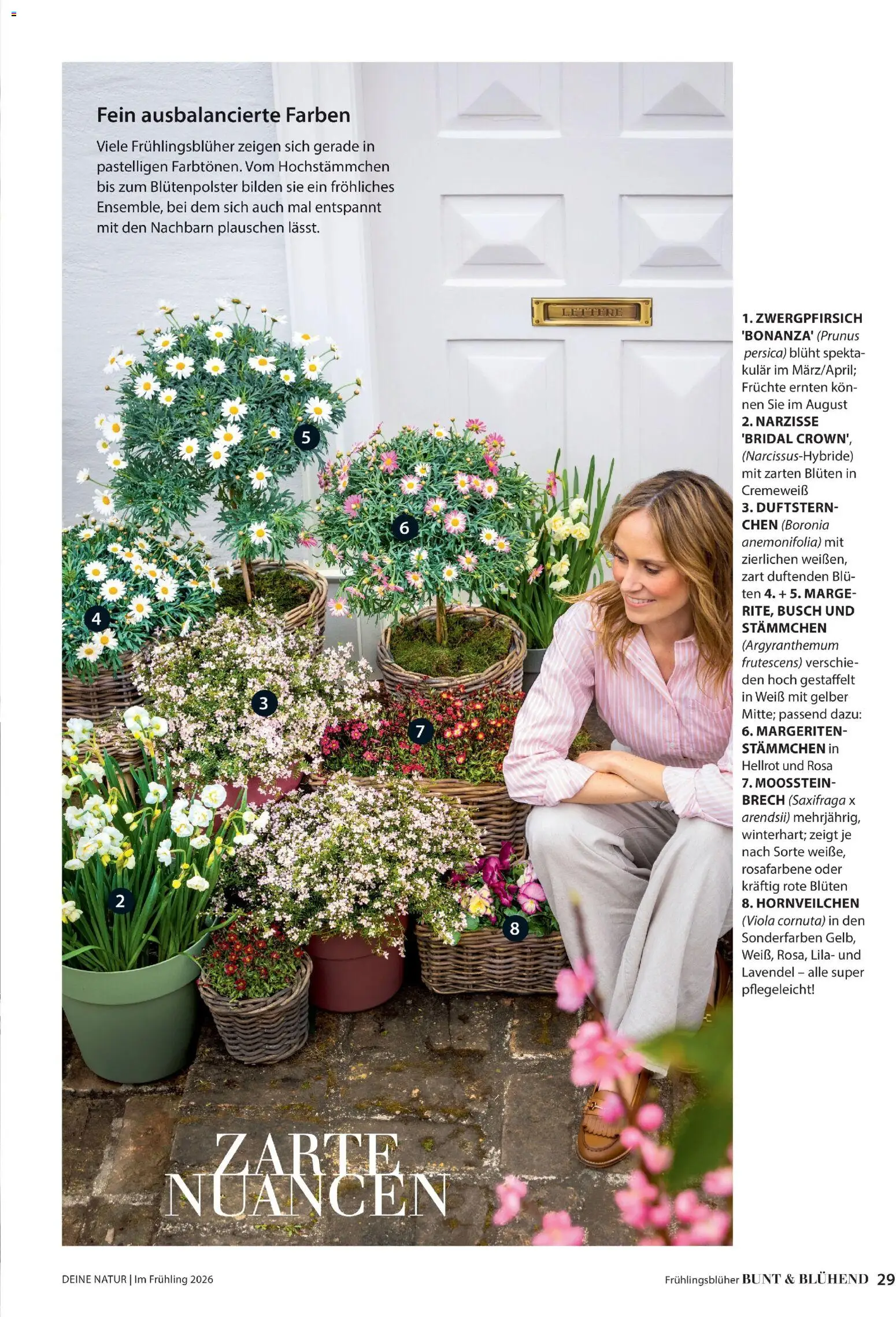 Dehner Prospekt 	 - Seite 29 - gültig ab 04.03.2026
