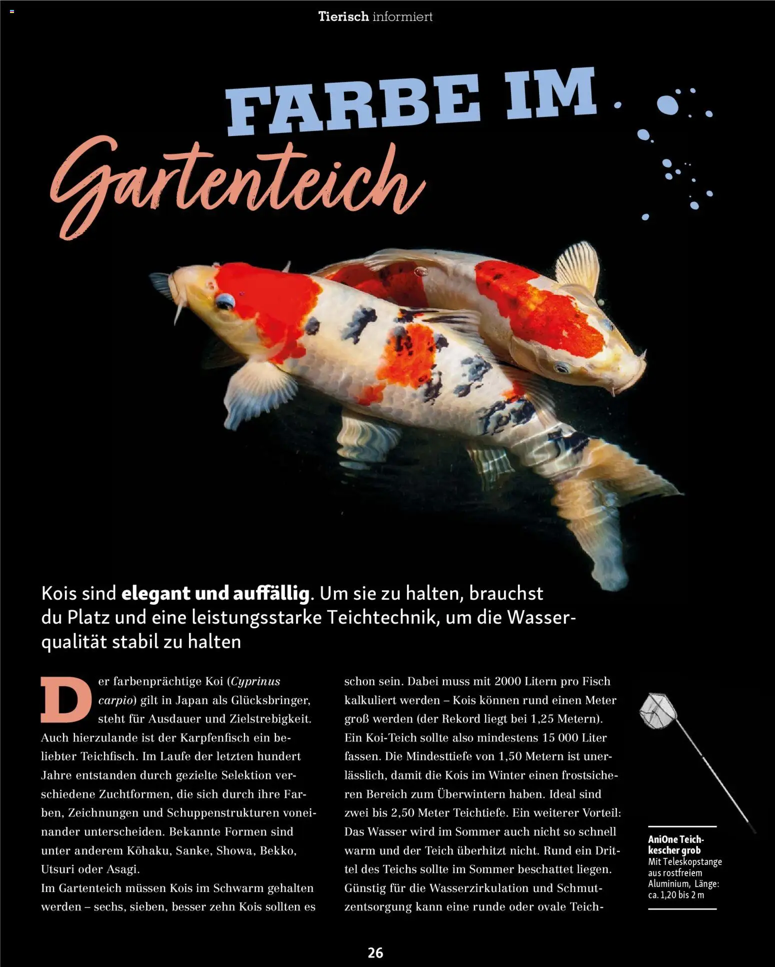 Fressnapf Friends Magazin - Seite 26 - gültig ab 02.03.2026