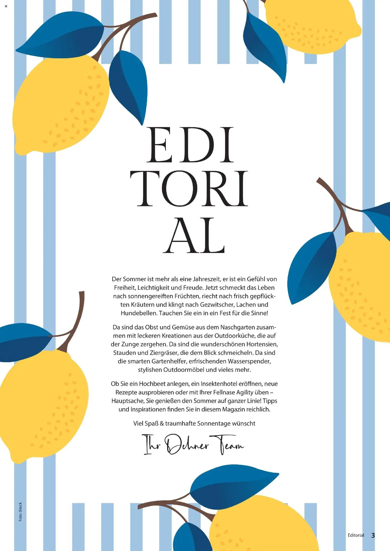 Dehner Prospekt 	 - Seite 3 - gültig ab 17.04.2026