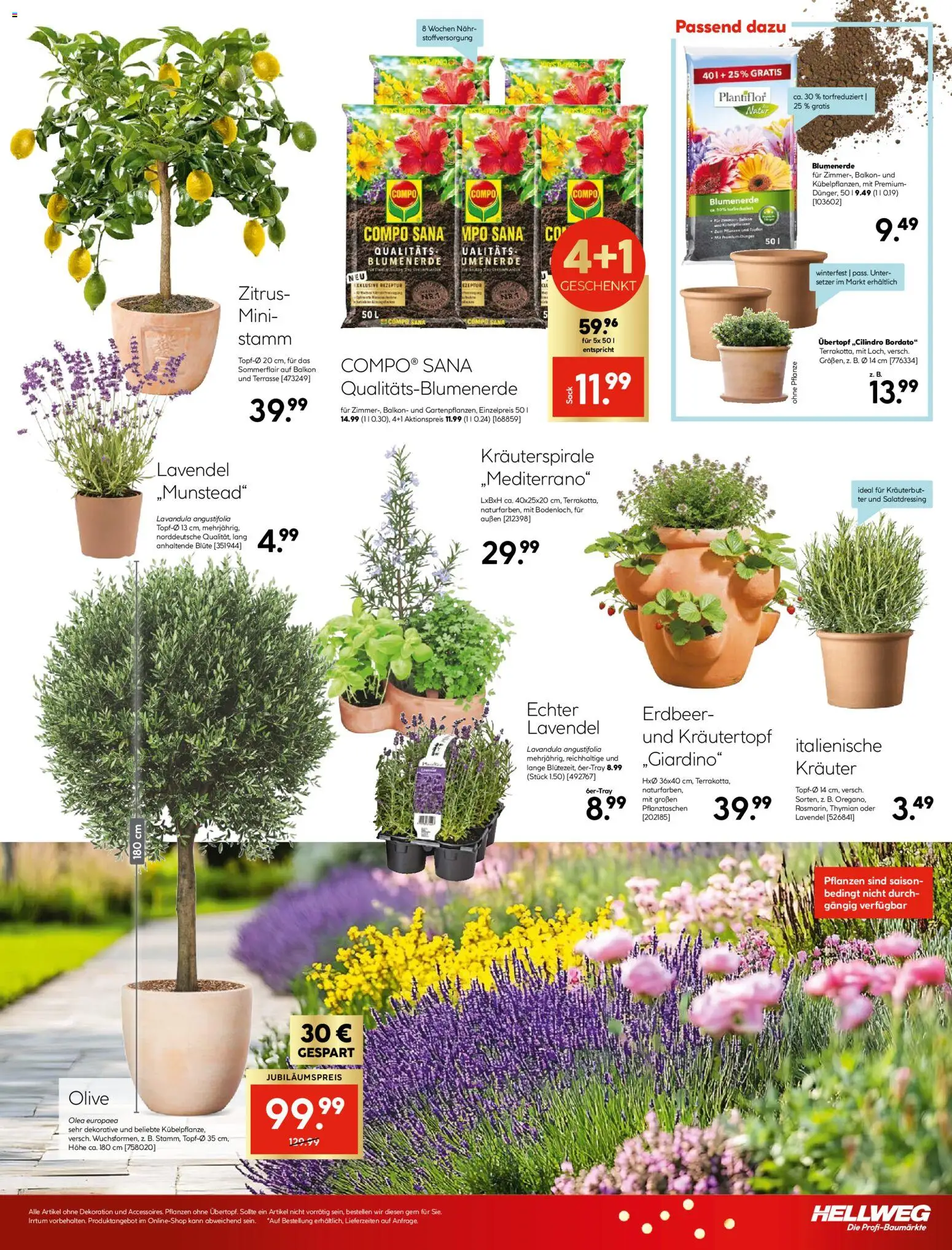 HELLWEG Flugblatt - page 29- valid from 02.04.2026