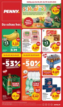 Vorschau Penny Markt Flugblatt gültig ab 04.09.2025