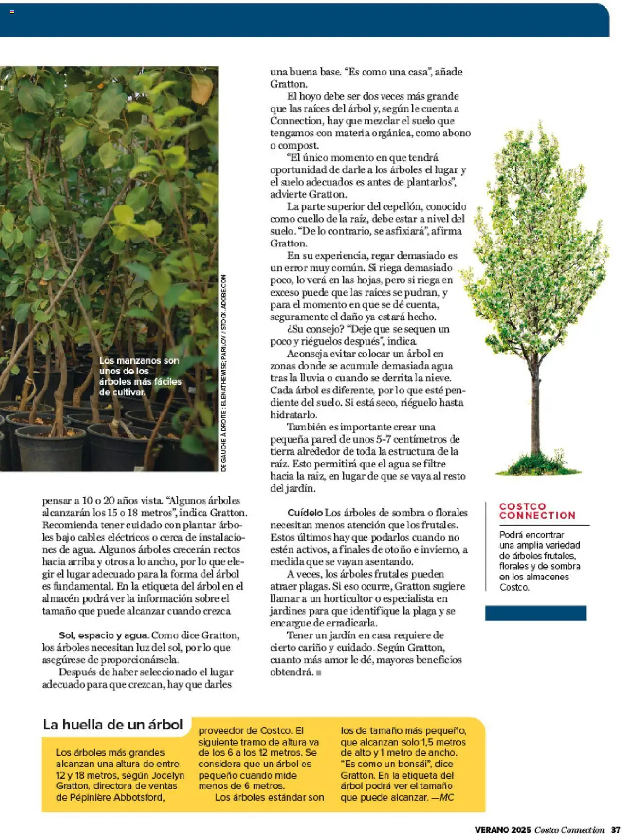 Costco catálogo - Página de 37 - Válido desde 03/07/2025