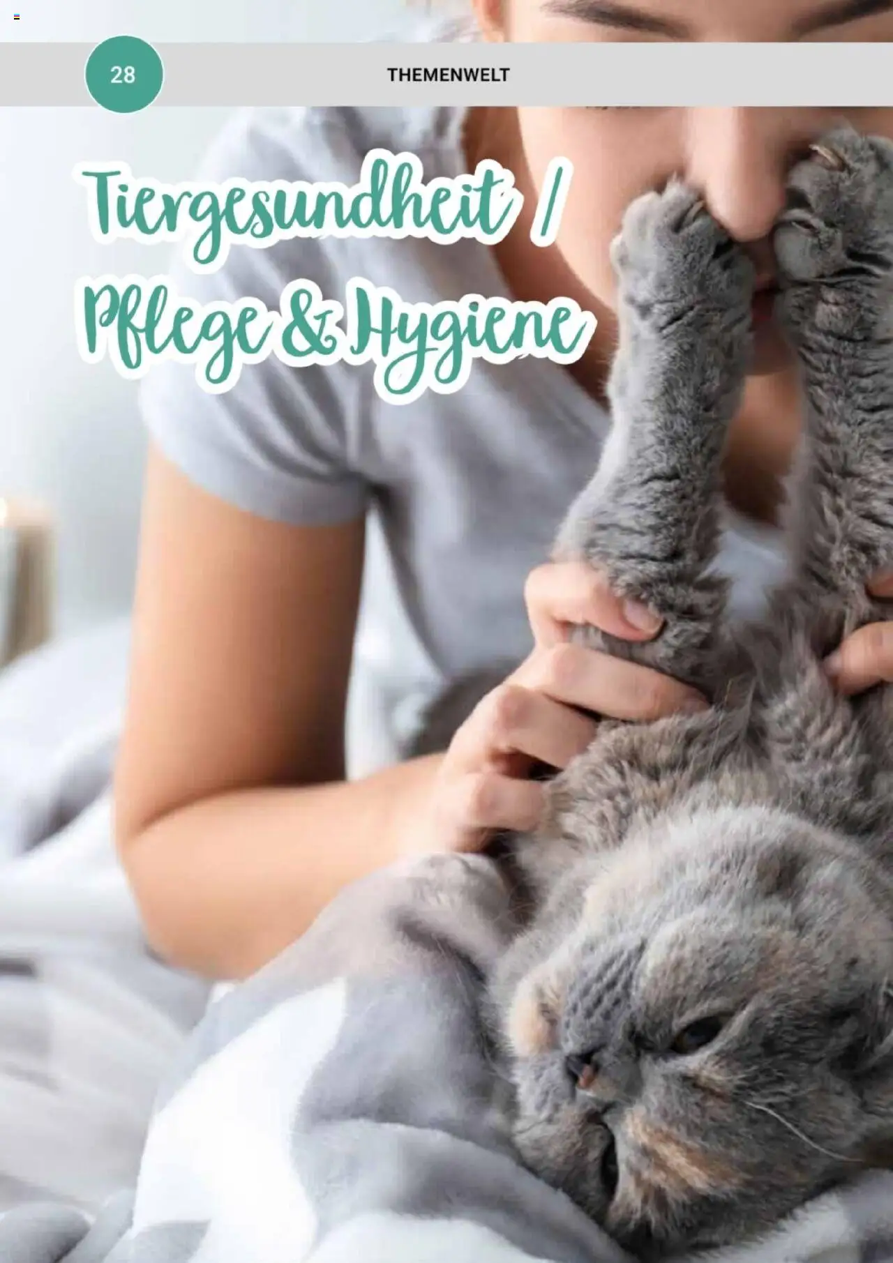 zookauf Themenkatalog Katze - Seite 28 - gültig ab 01.10.2025