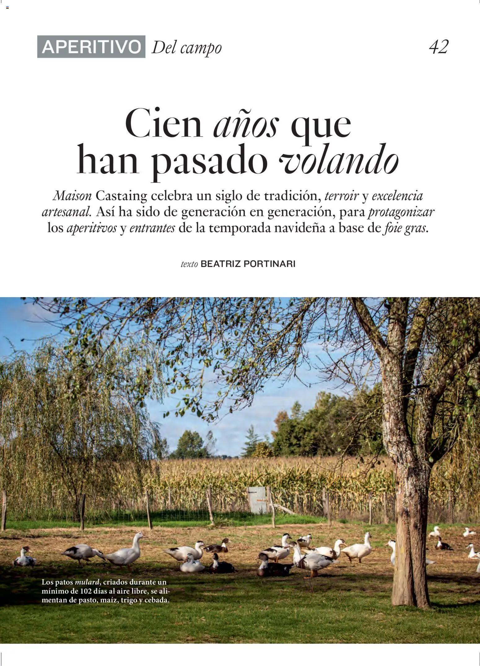 El Corte Inglés ofertas - Página de 42 - Válido desde 11/12/2025