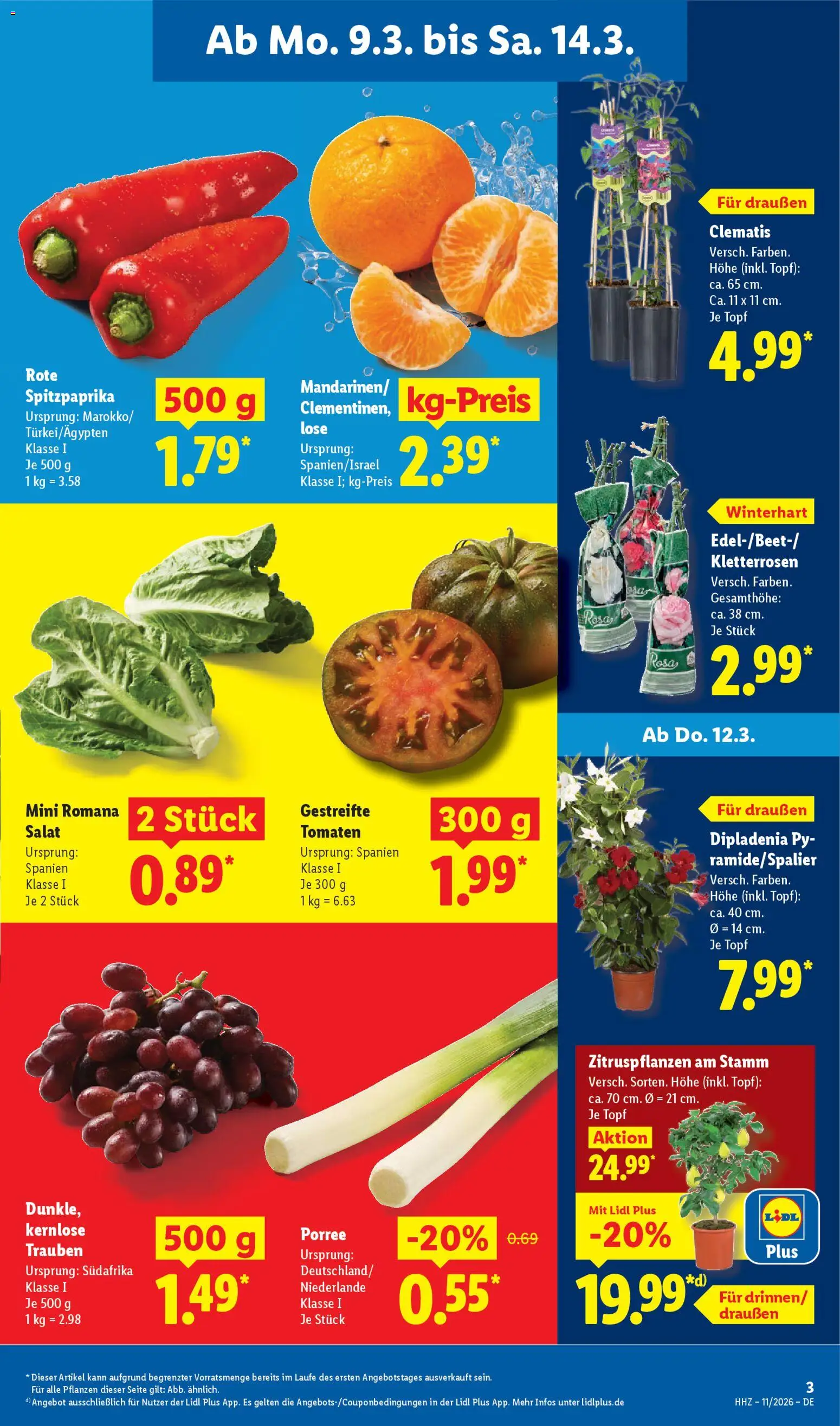 Lidl Prospekt - Seite 5 - gültig ab 09.03.2026