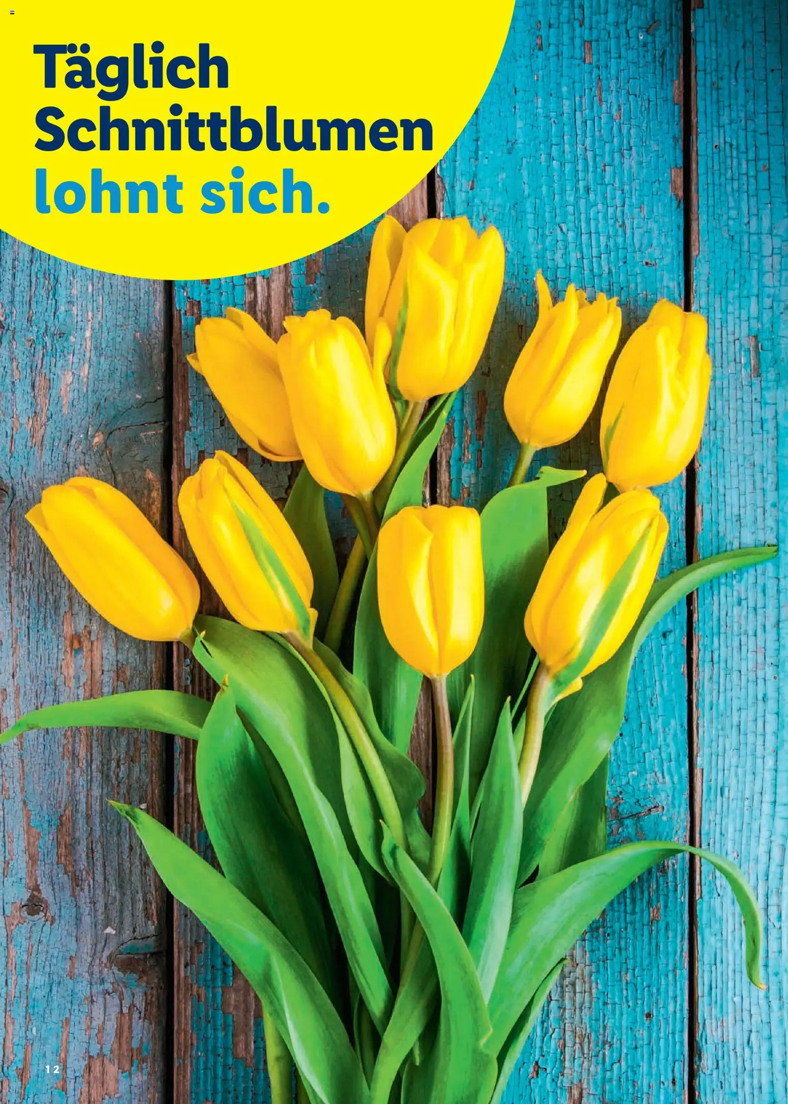 Lidl Aktionen Ostern - page 12- valid from 26.02.2026