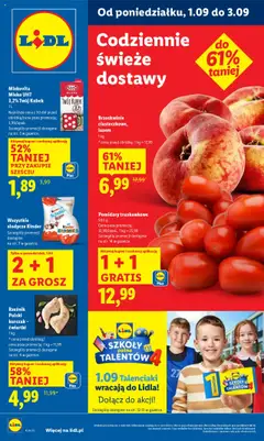 Podgląd Lidl Gazetka ważny od 01.09.2025