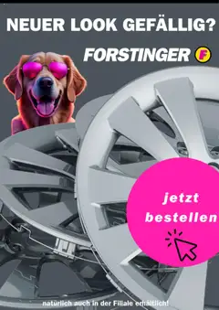 Vorschau Forstinger Flugblatt gültig ab 15.08.2025