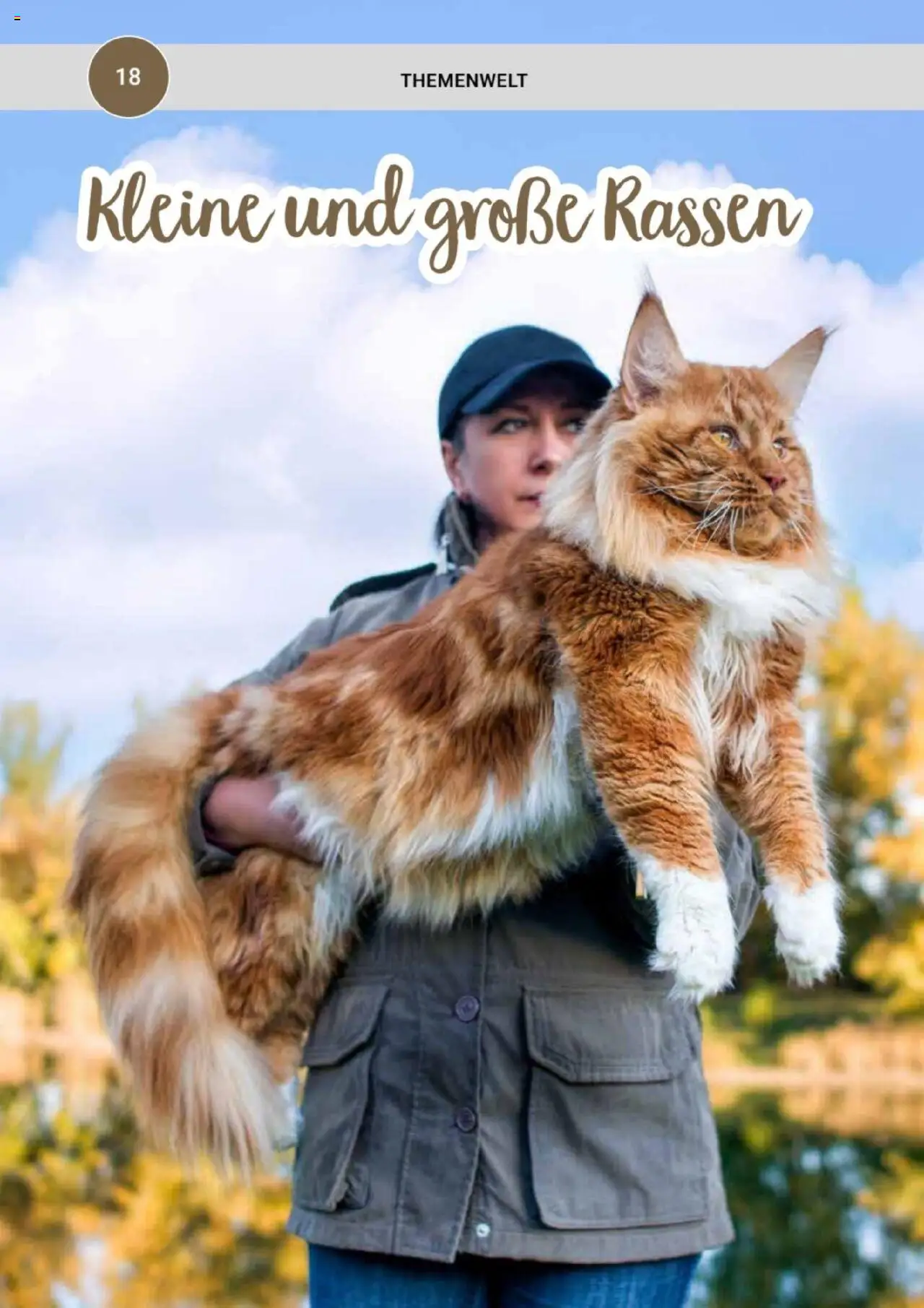 zookauf Themenkatalog Katze - Seite 18 - gültig ab 01.10.2025