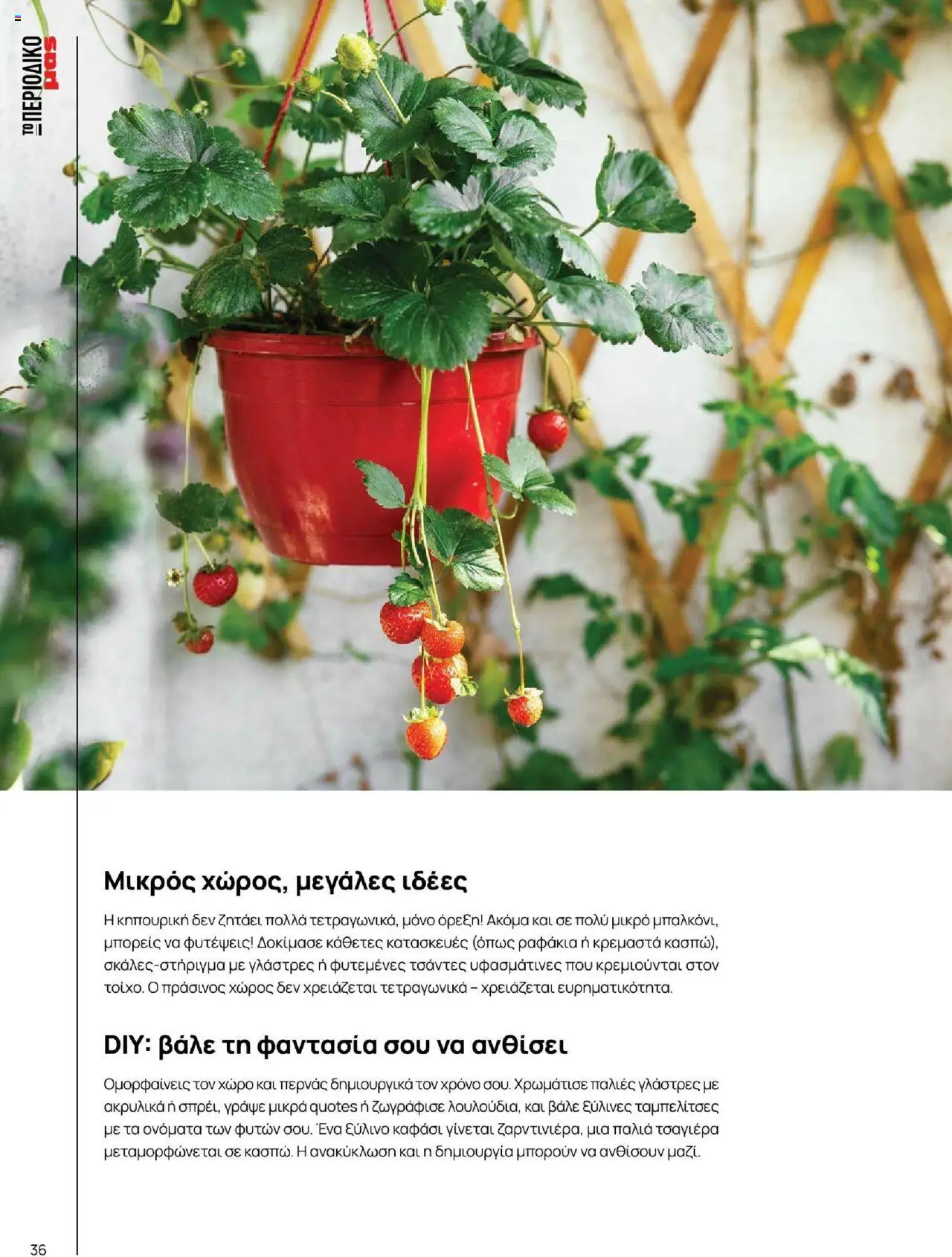 Μασούτης - Καλοκαίρι - Γεύσεις & εμπνεύσεις - page 36- valid from 18/06/2025