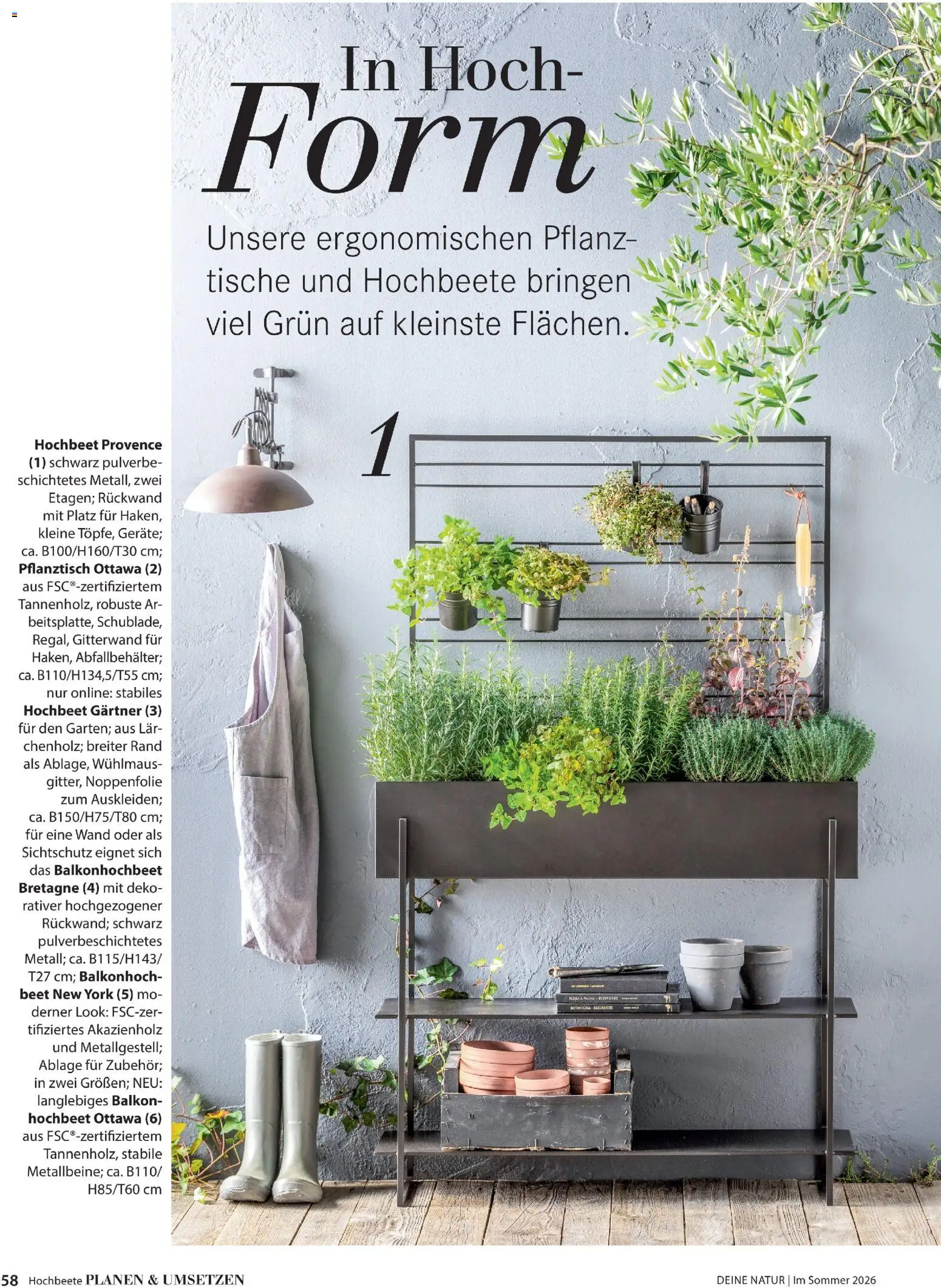 Dehner Prospekt 	 - Seite 58 - gültig ab 17.04.2026